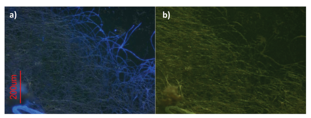 Inorganics 09 00032 g023