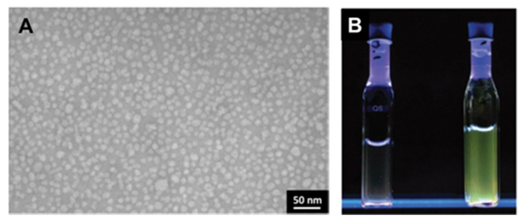 Inorganics 09 00032 g024