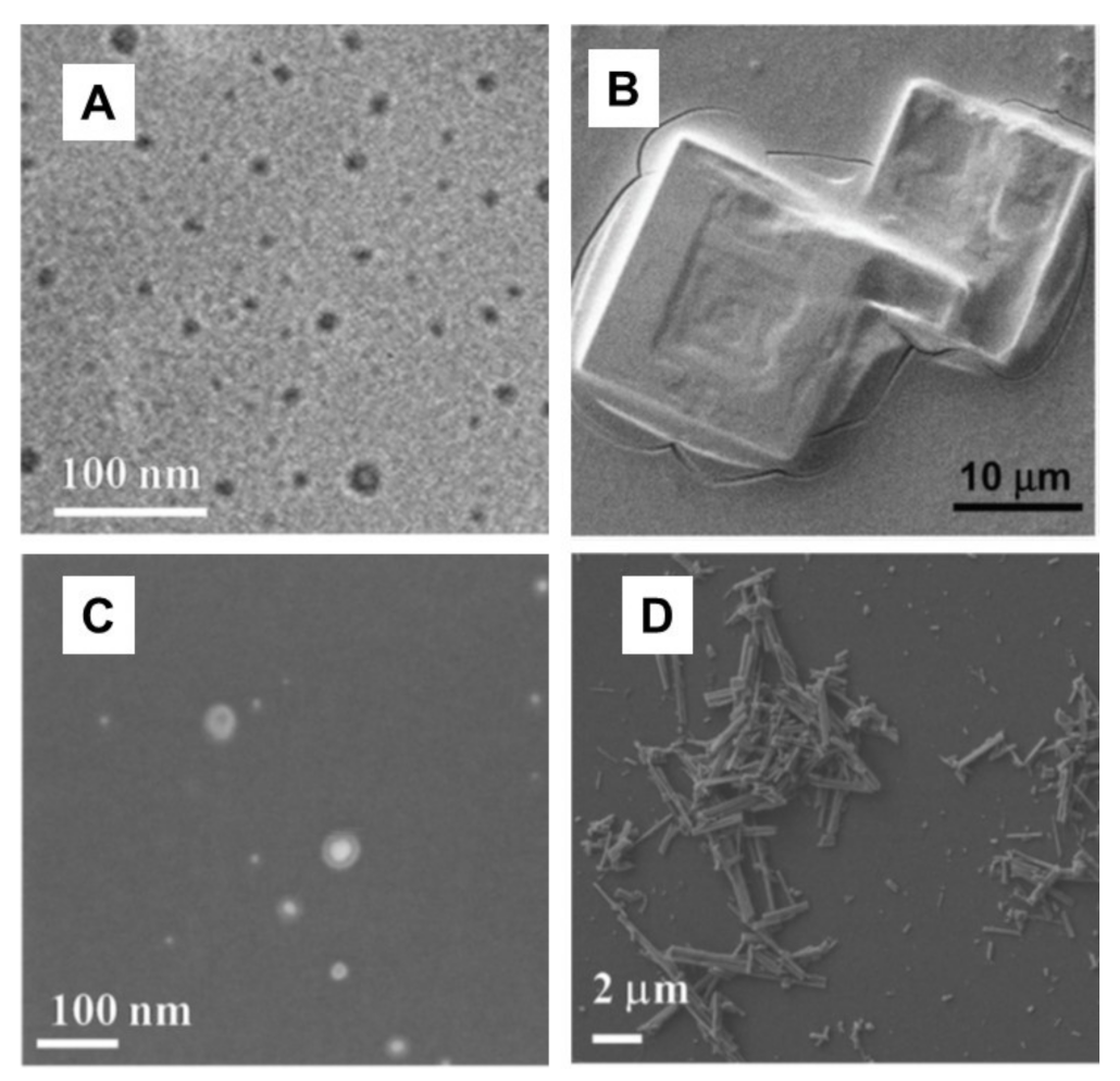 Inorganics 09 00032 g025