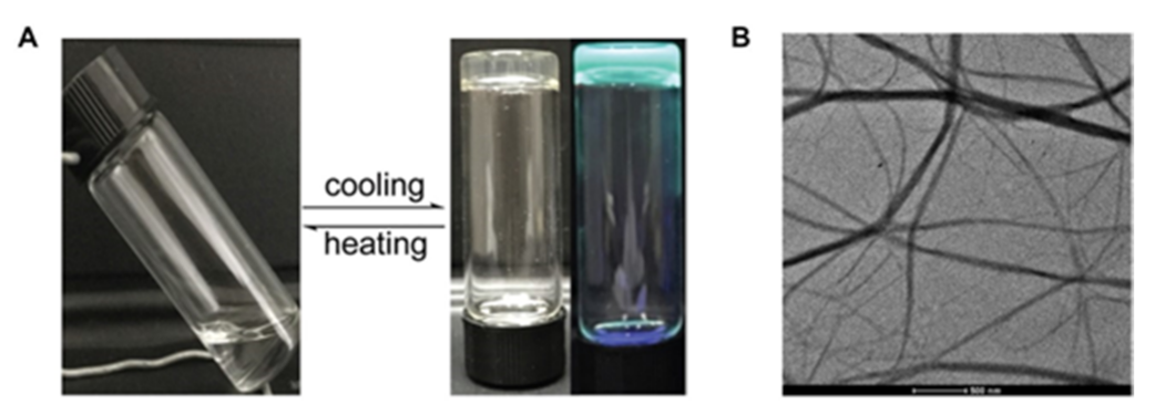 Inorganics 09 00032 g029