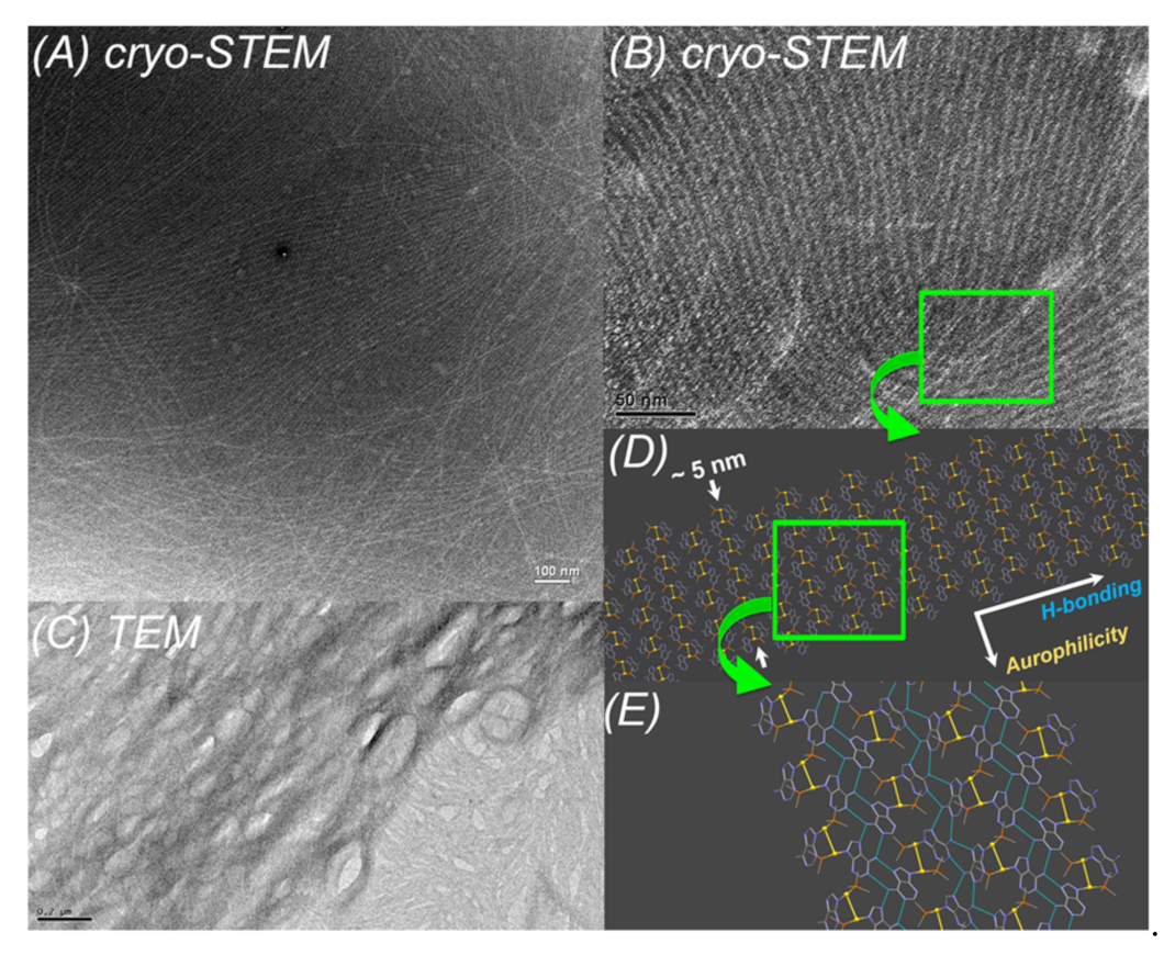 Inorganics 09 00032 g032