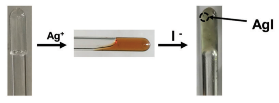 Inorganics 09 00032 g036