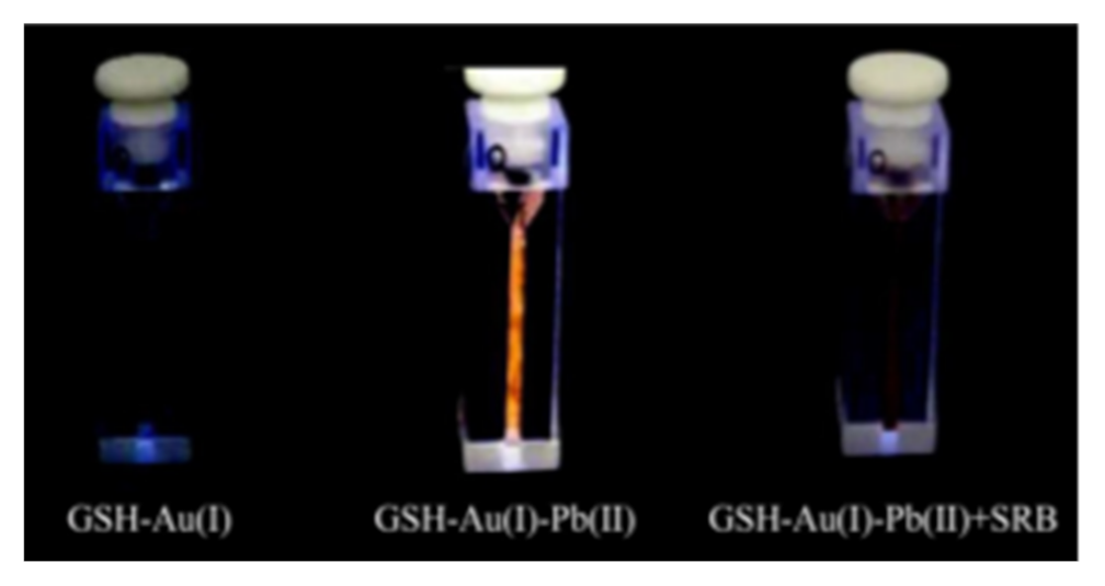 Inorganics 09 00032 g040