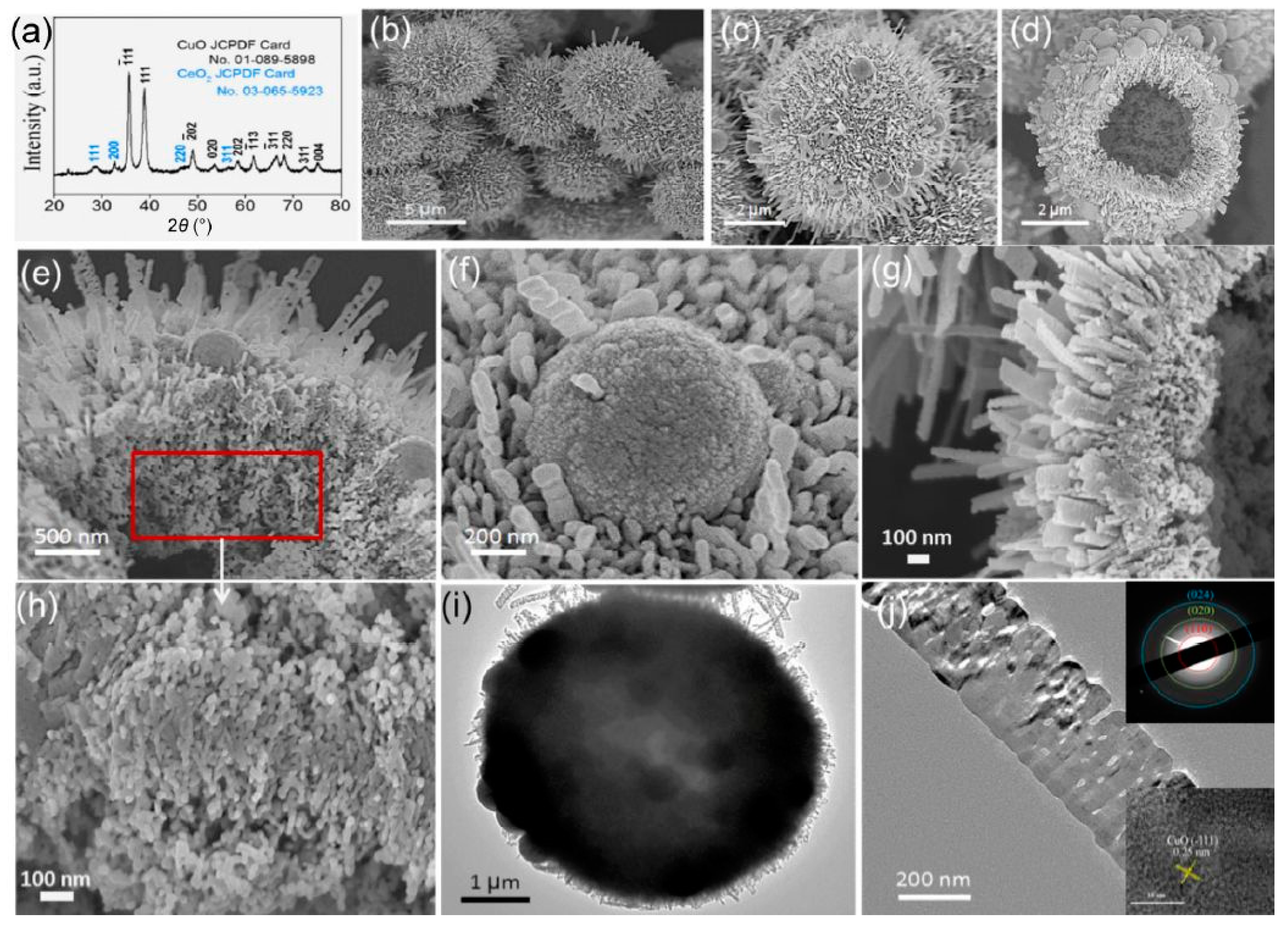 Inorganics 09 00040 g009