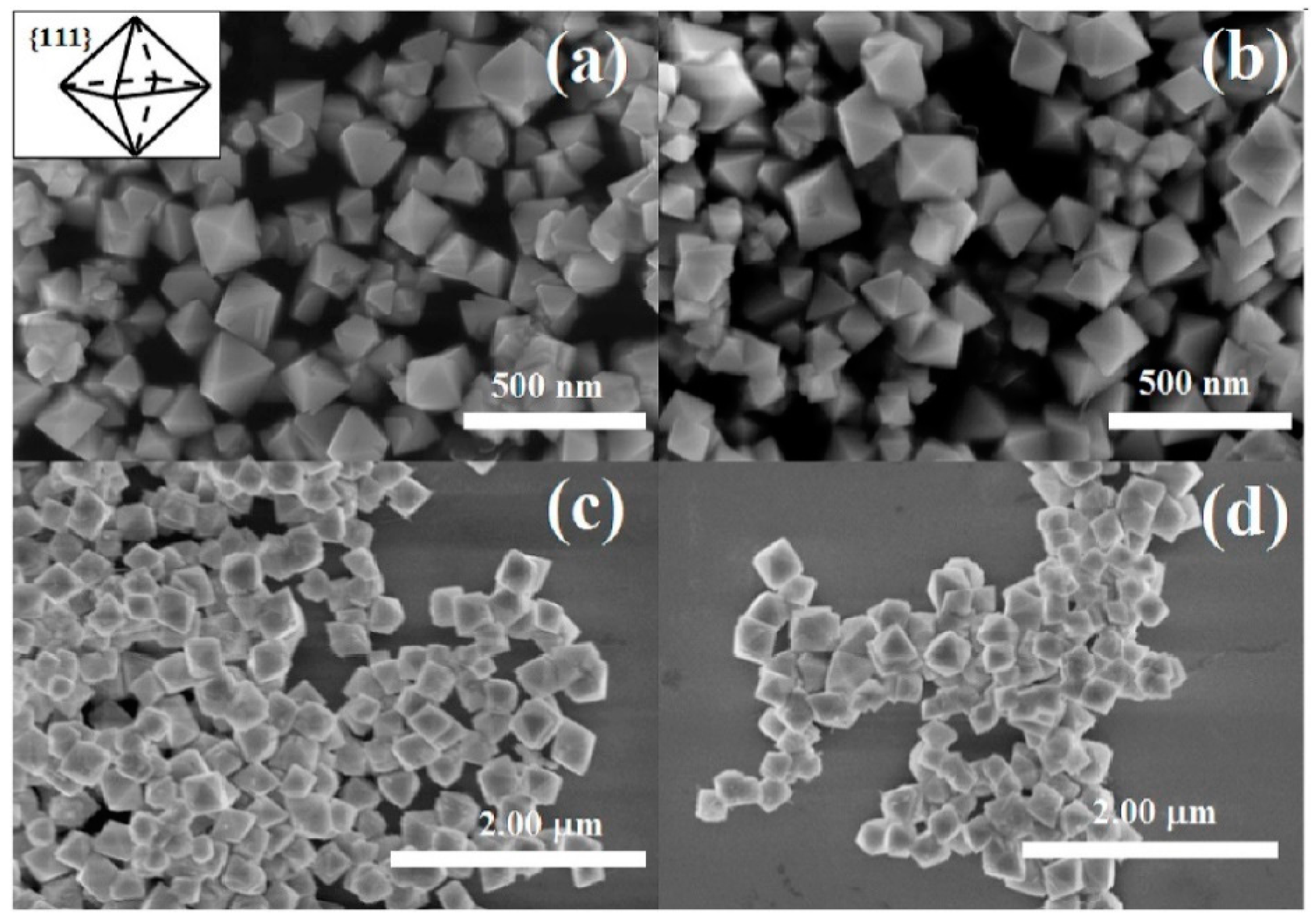 Inorganics 09 00040 g015