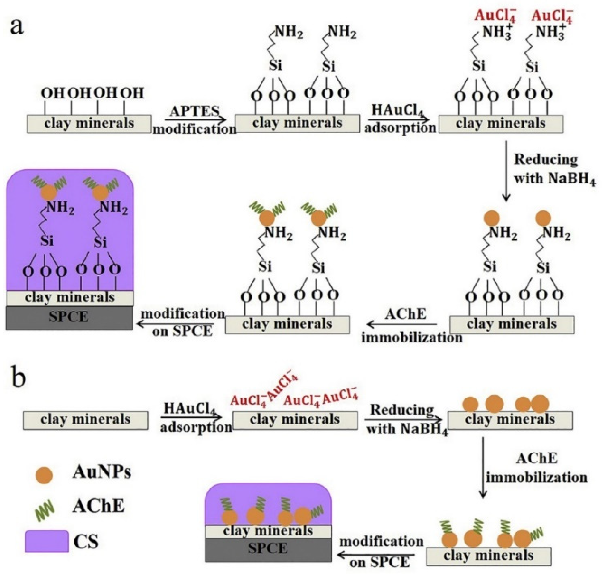 Inorganics 09 00043 g002