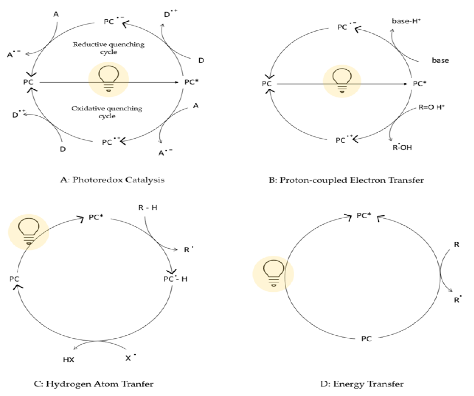Inorganics 09 00056 g001