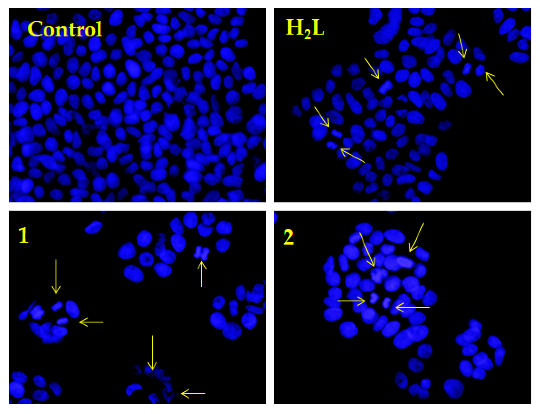 Inorganics 09 00066 g007