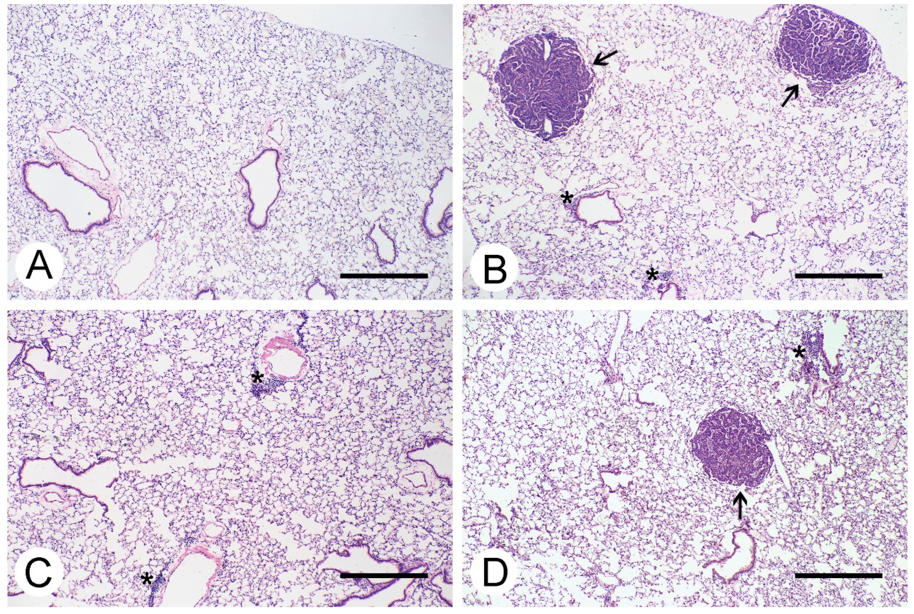 Inorganics 09 00078 g003 550