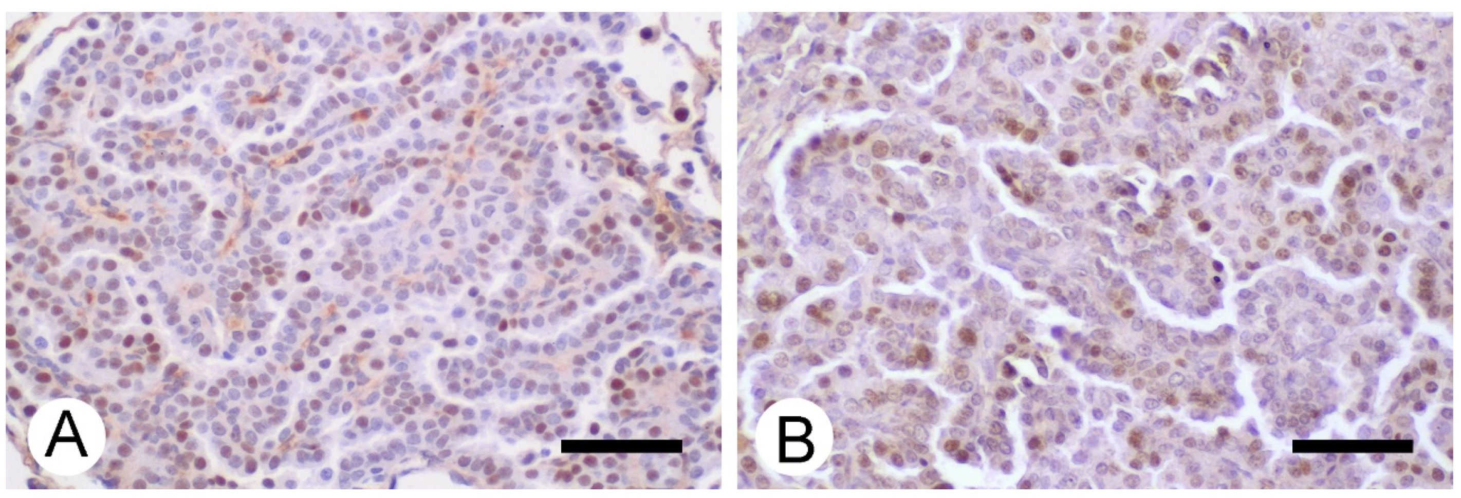 Inorganics 09 00078 g006 550