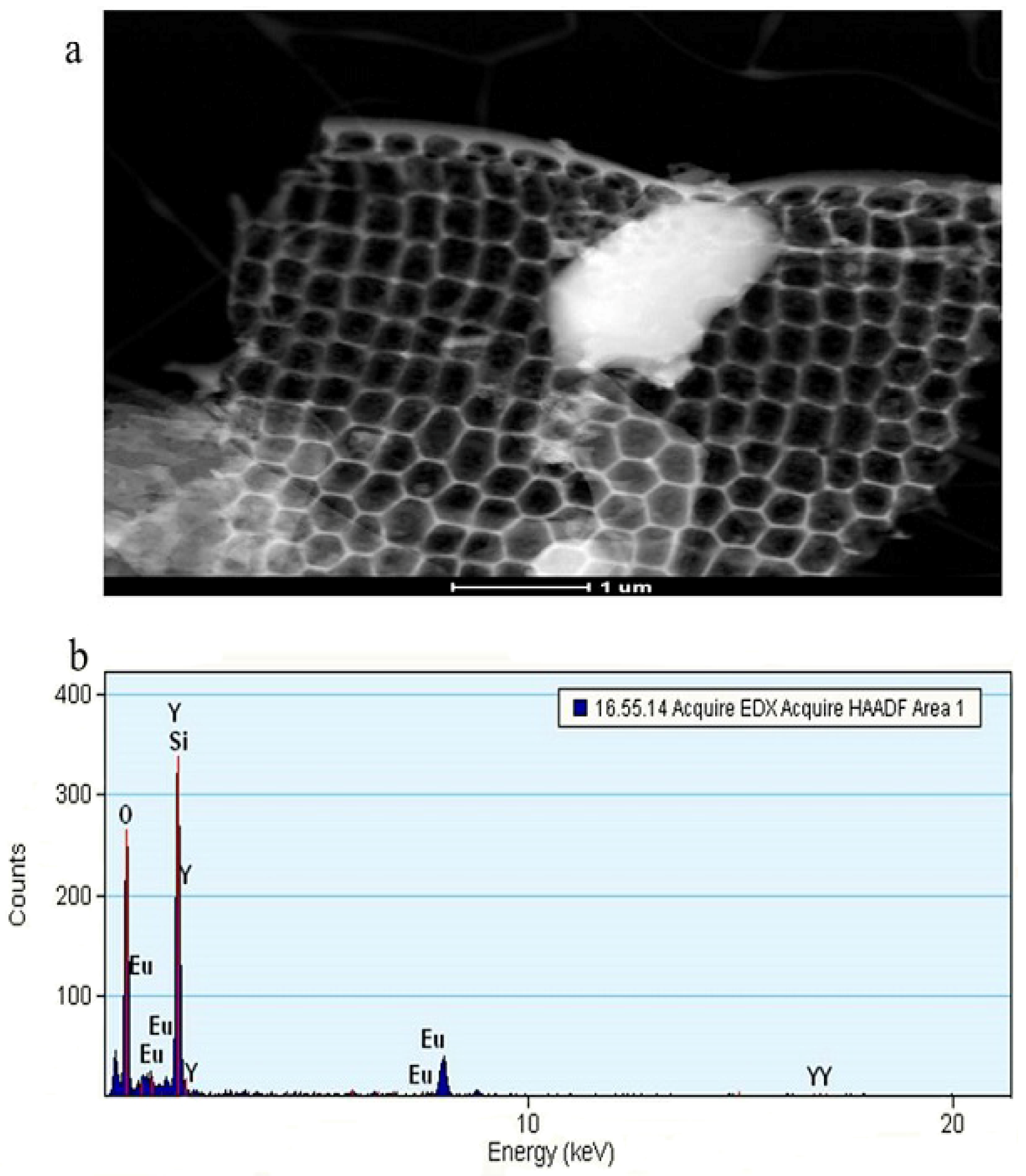 Inorganics 09 00088 g005 550