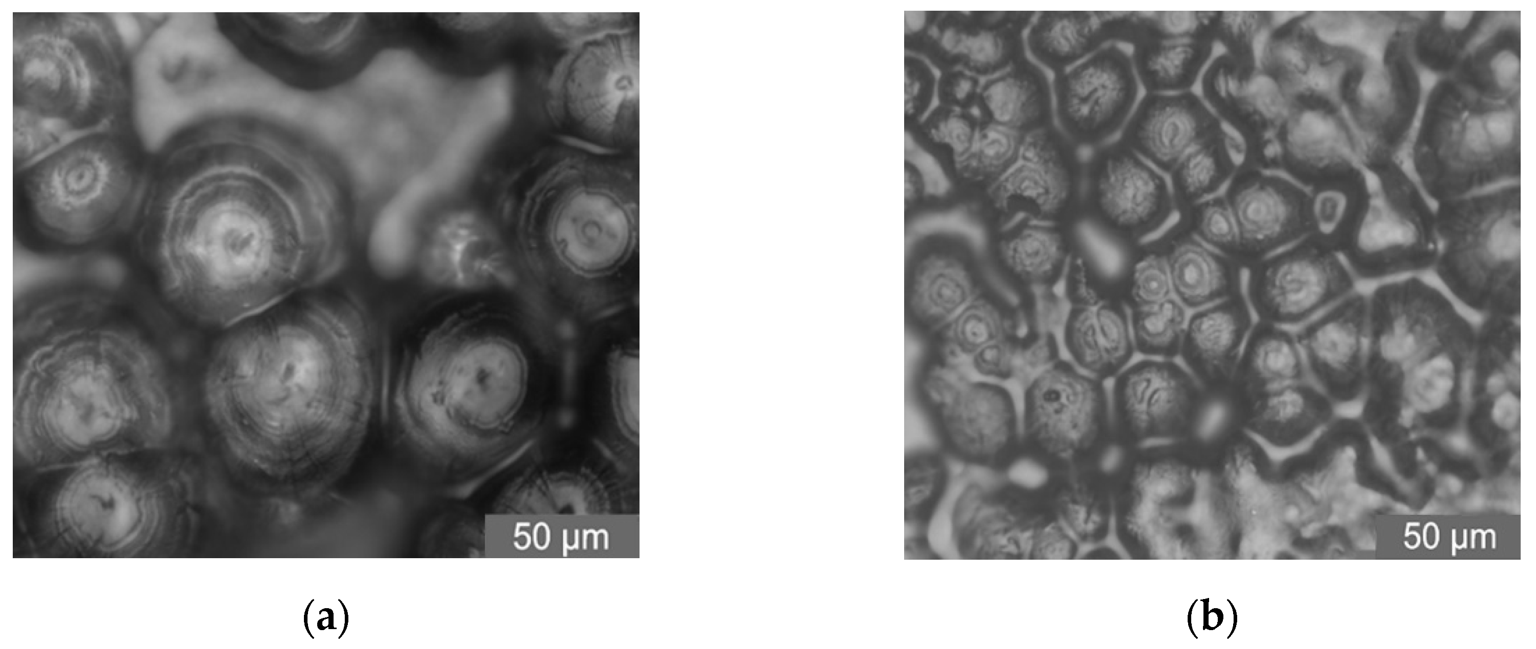 Inorganics 09 00090 g003a 550