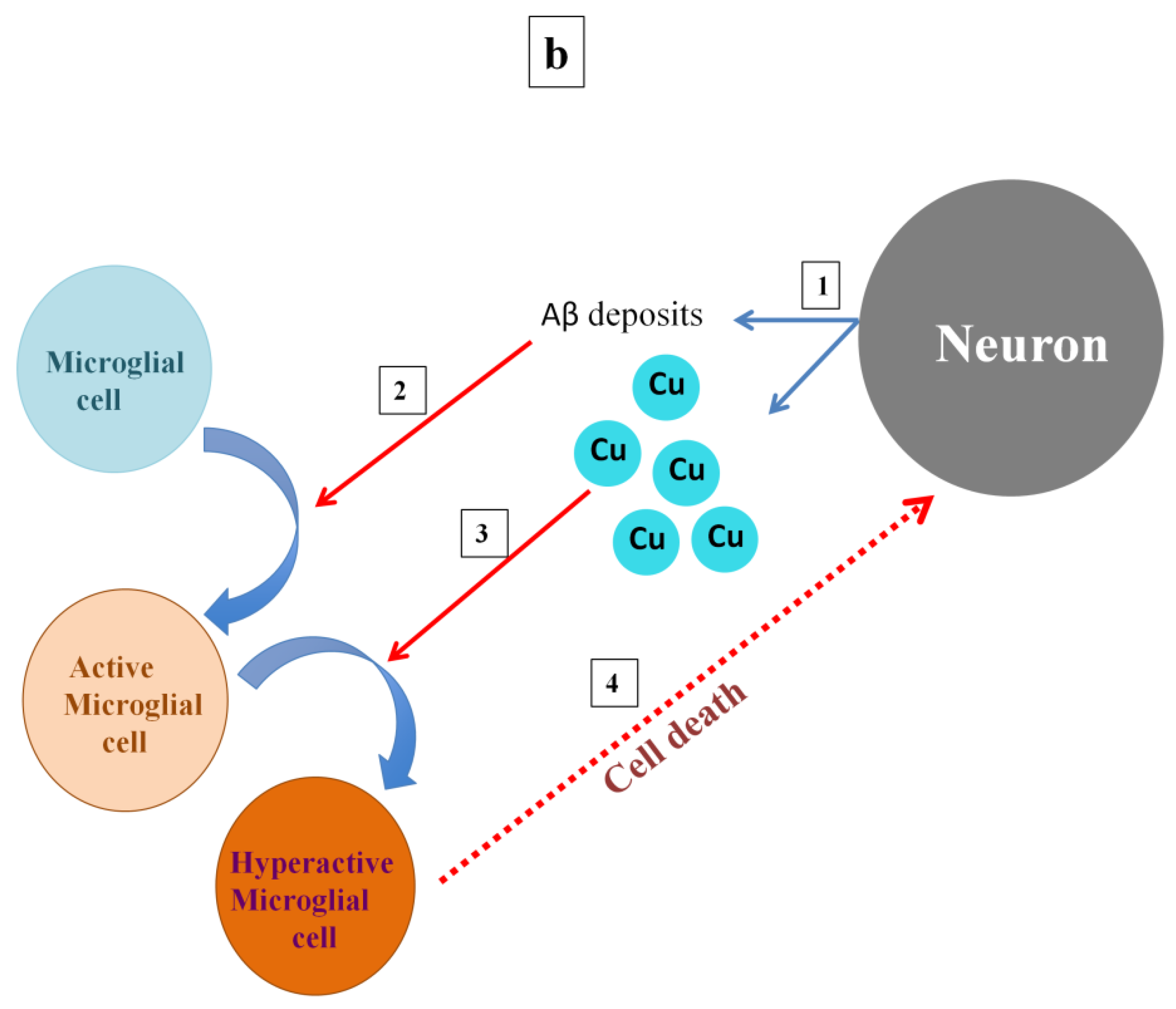 Inorganics 10 00006 g002b