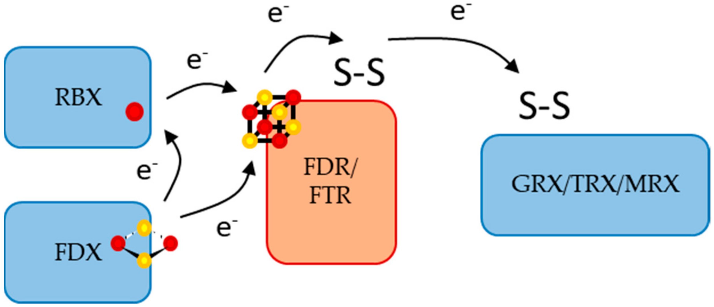 Inorganics 10 00024 g008 550