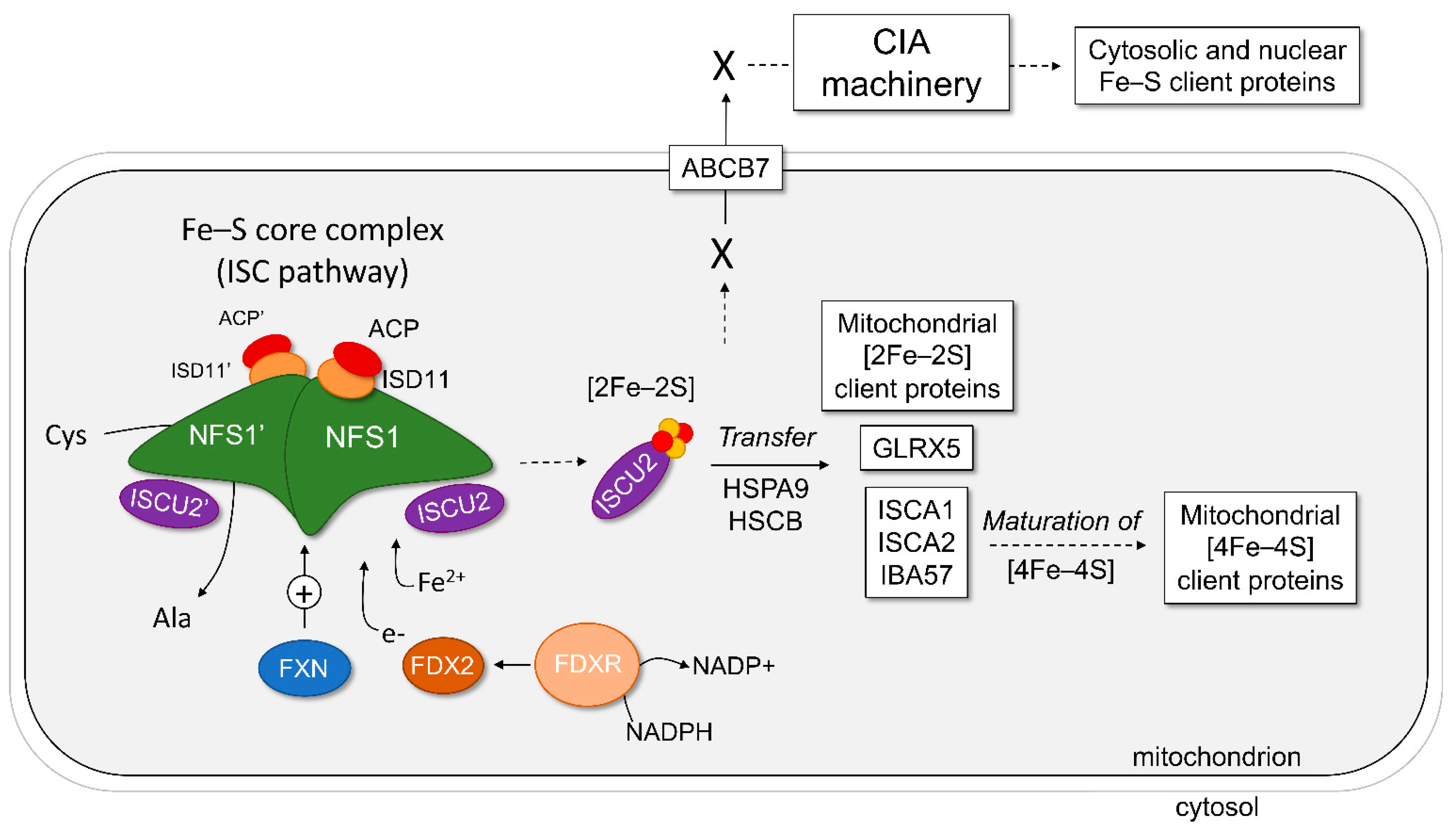 Inorganics 10 00031 g001