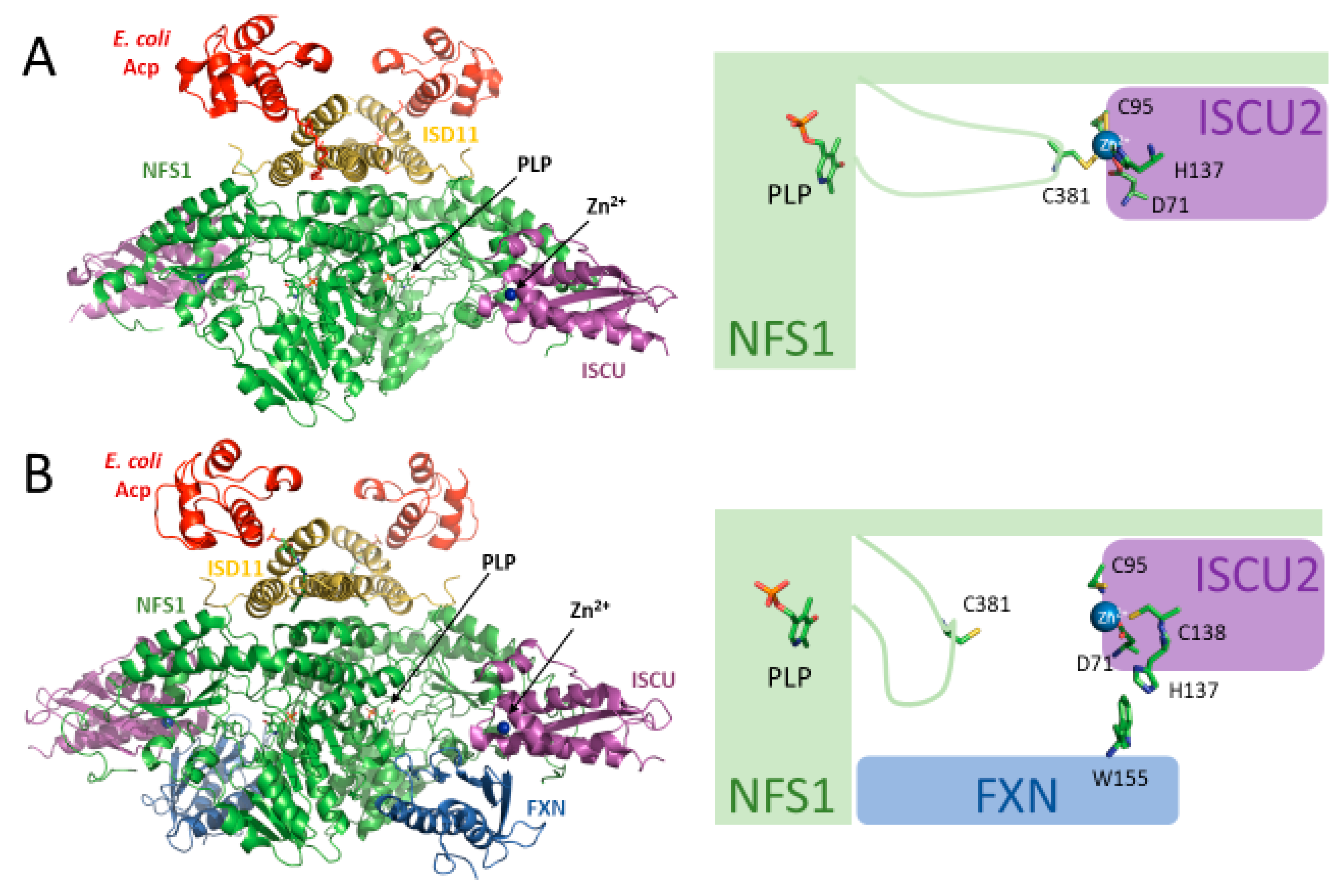 Inorganics 10 00031 g002