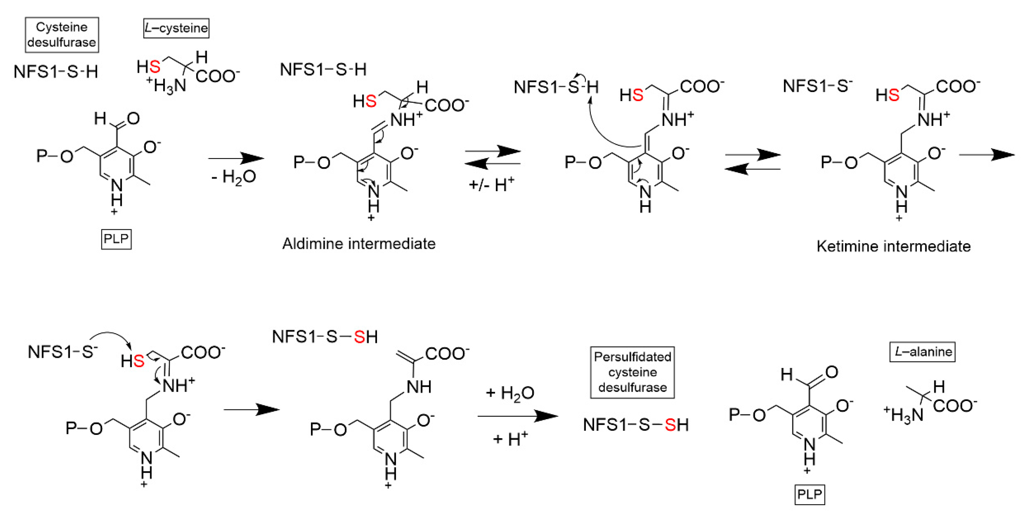 Inorganics 10 00031 g003