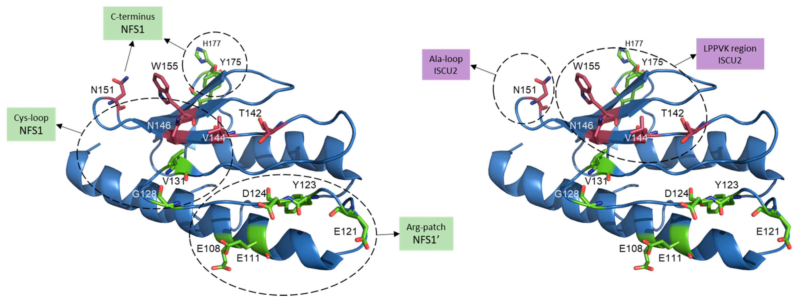 Inorganics 10 00031 g005