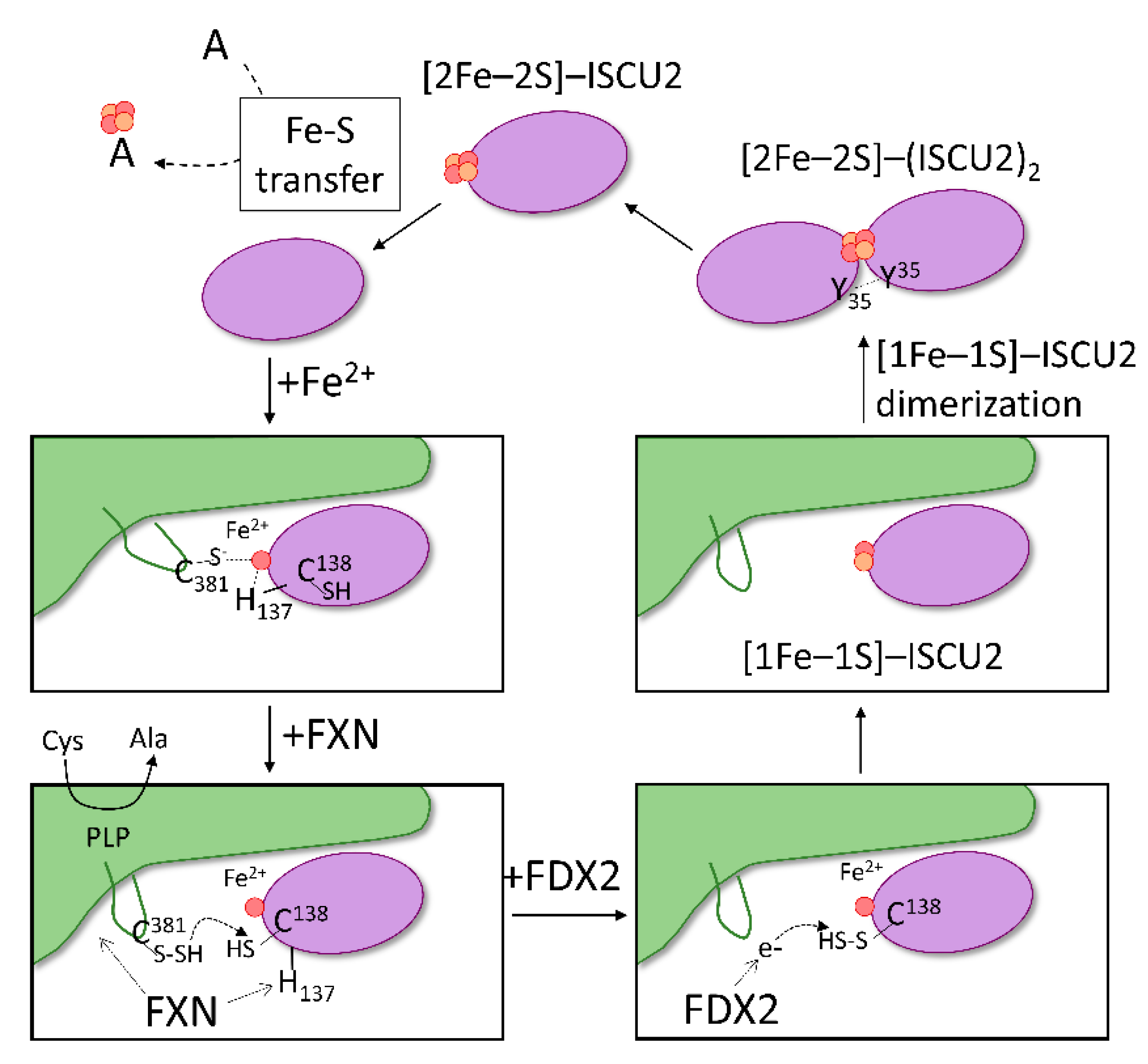 Inorganics 10 00031 g006
