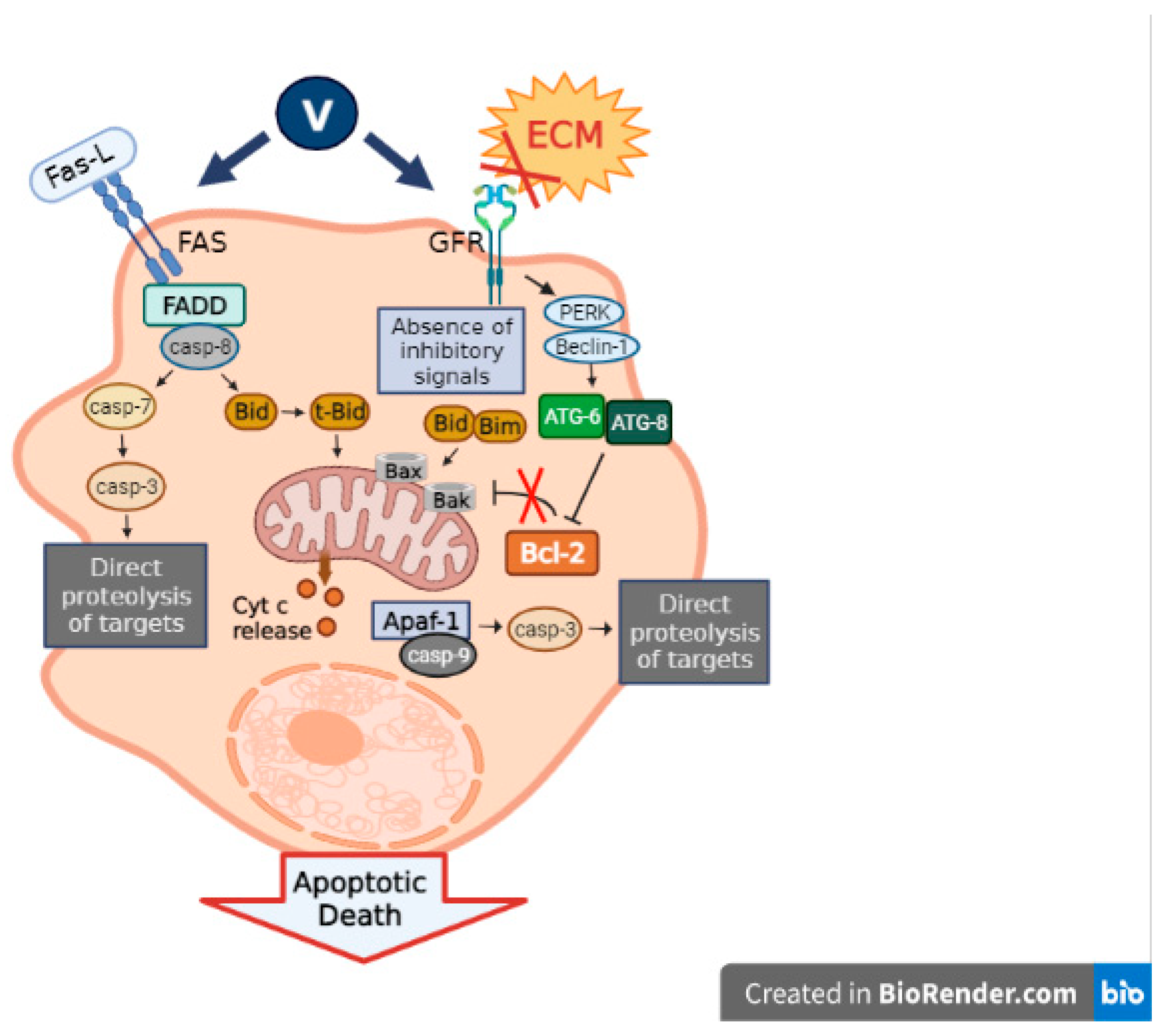 Inorganics 10 00047 g002 550