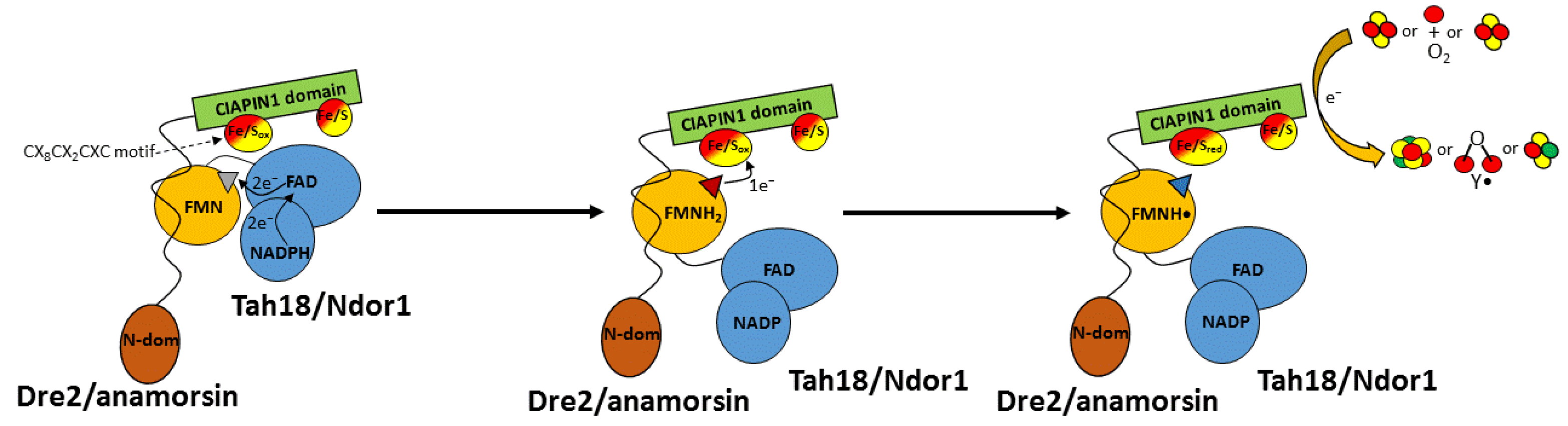 Inorganics 10 00052 g003