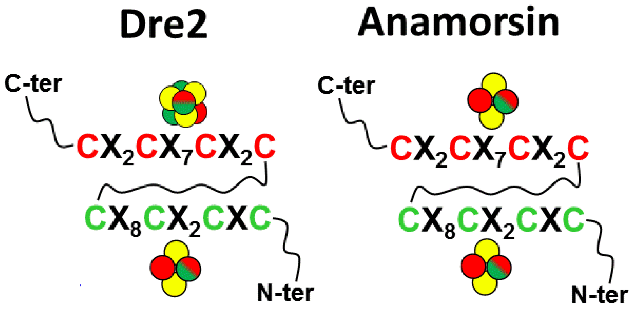 Inorganics 10 00052 g004