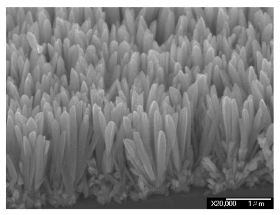 Inorganics 10 00115 g011