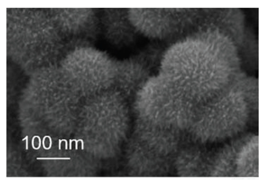 Inorganics 10 00115 g014