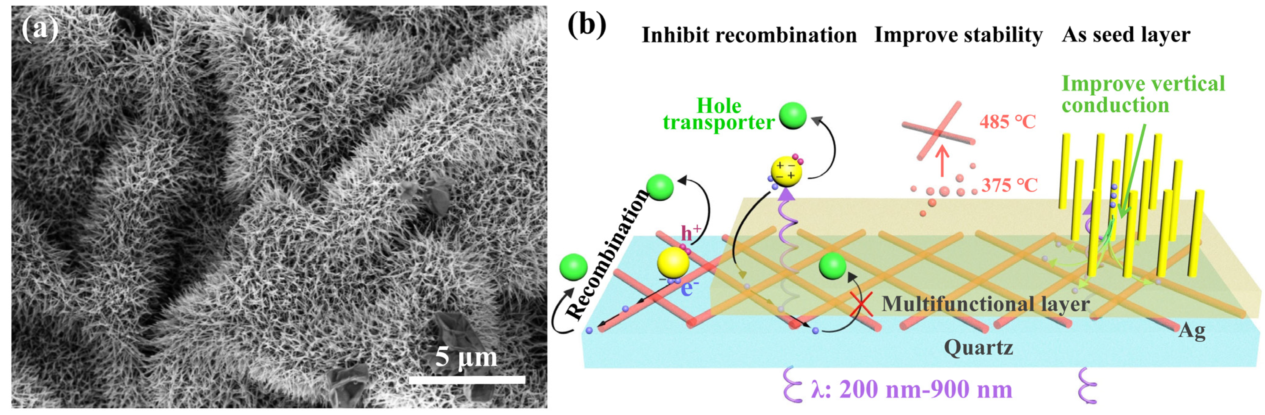 Inorganics 10 00164 g008 Inorganics 10 00164 g008