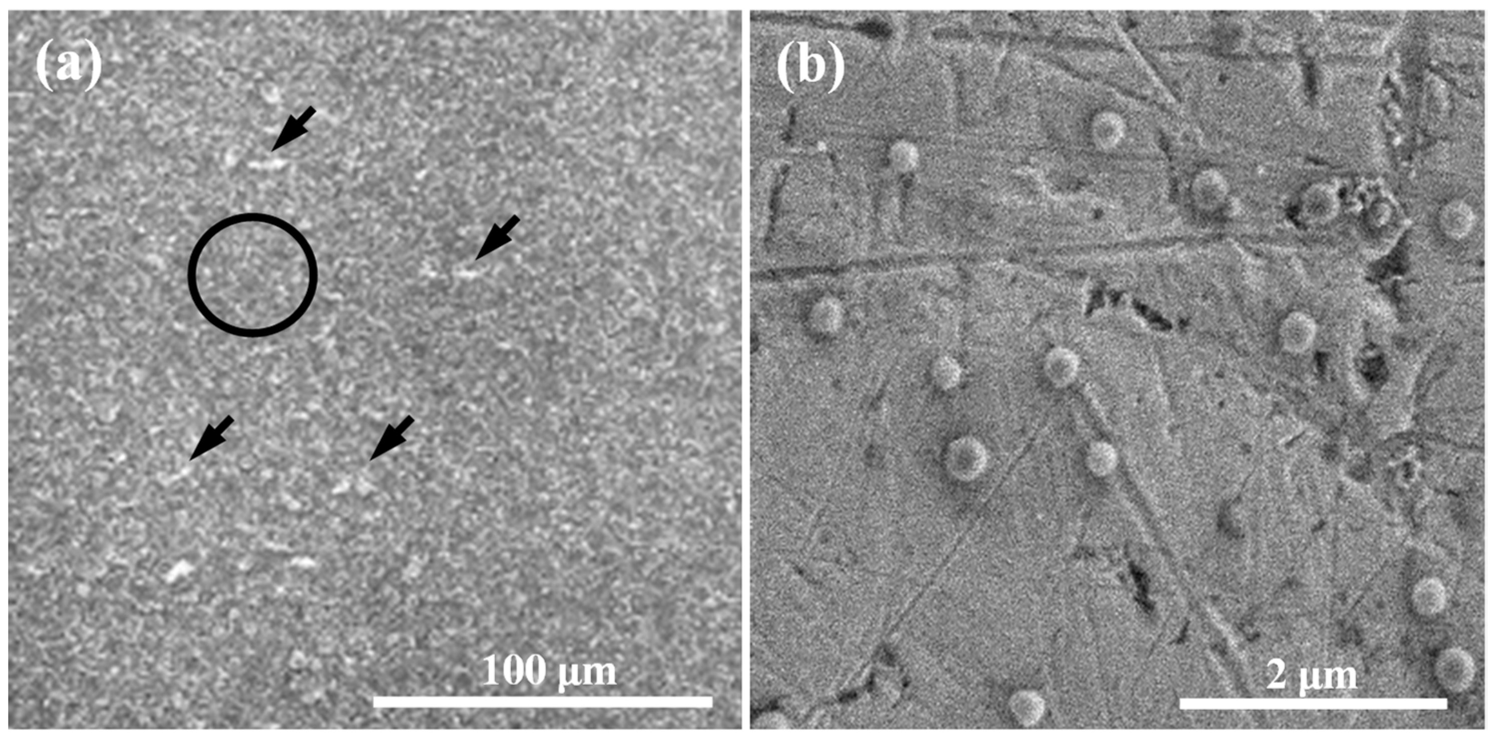 Inorganics 10 00165 g001