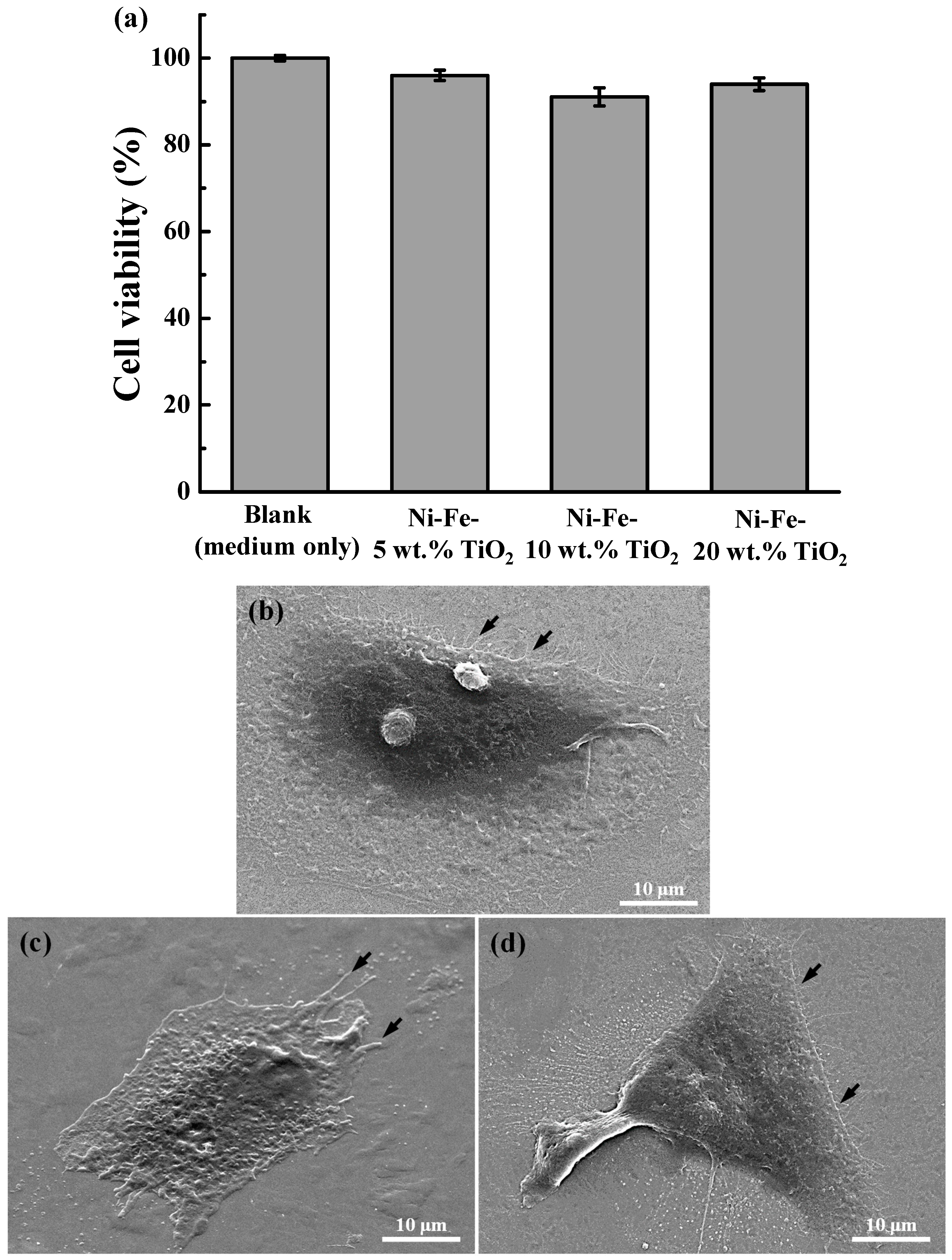 Inorganics 10 00165 g006