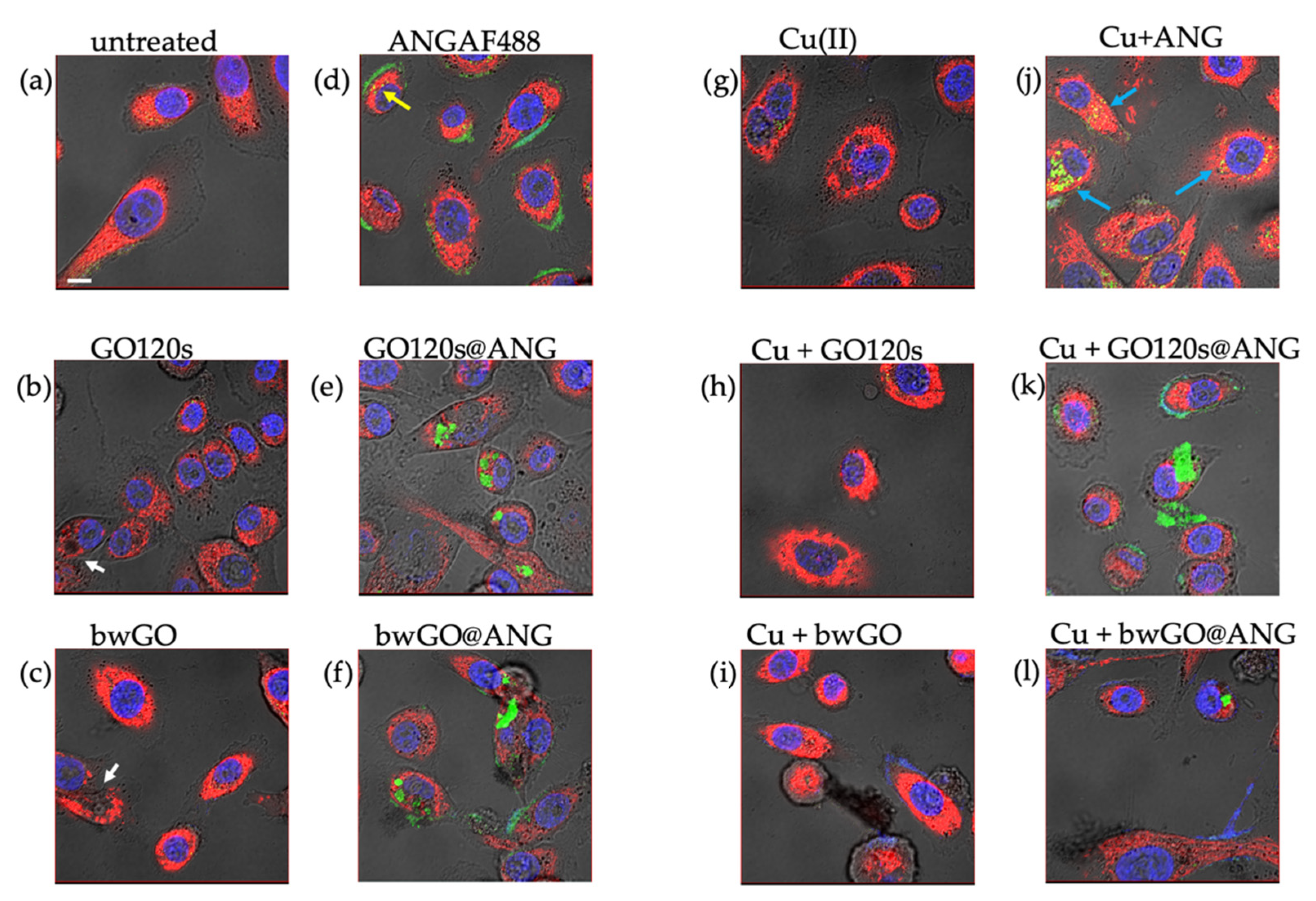 Inorganics 10 00188 g004 Inorganics 10 00188 g004