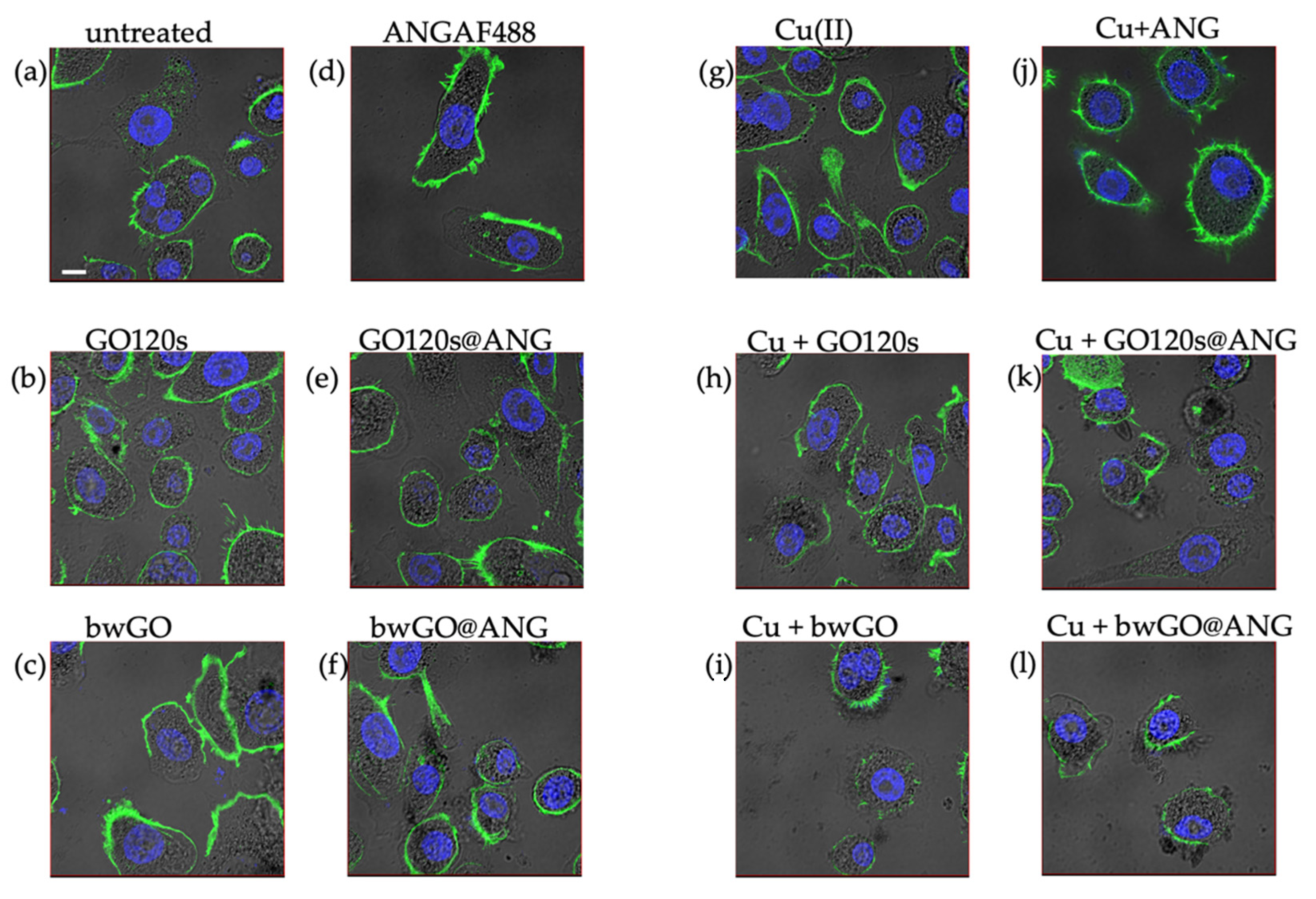 Inorganics 10 00188 g005 Inorganics 10 00188 g005