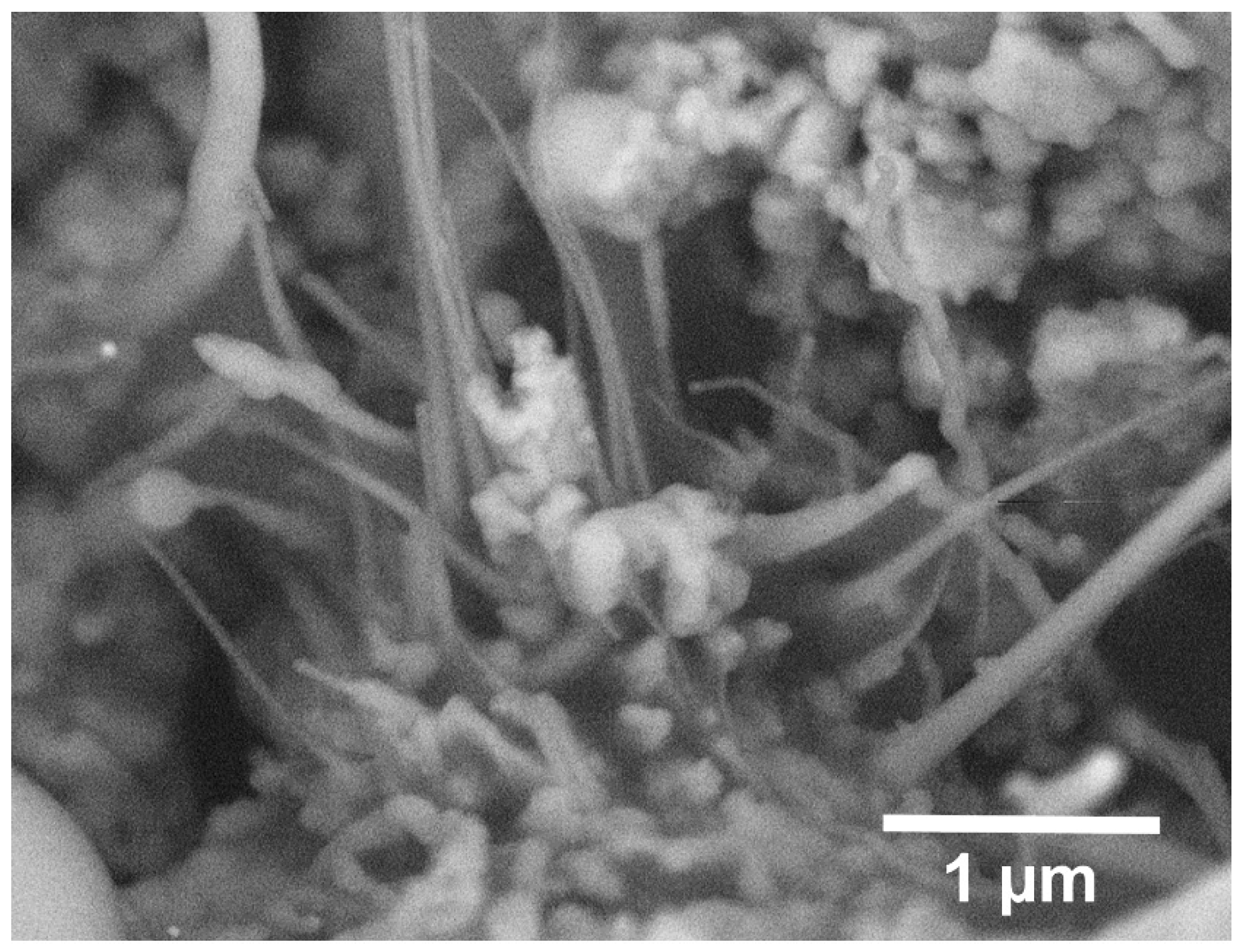 Inorganics 10 00192 g004