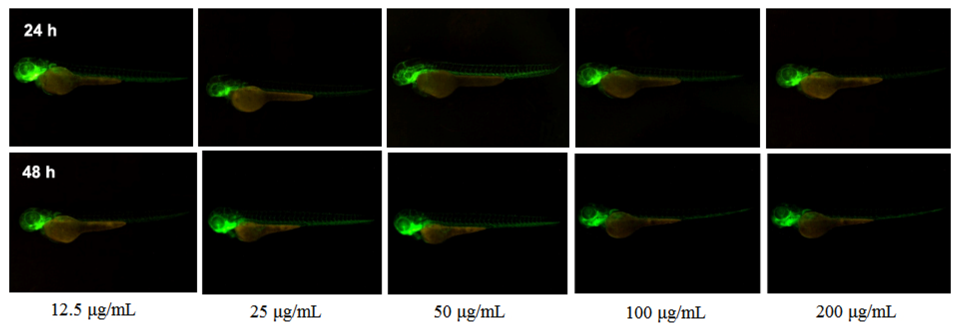 Inorganics 10 00202 g010 Inorganics 10 00202 g010