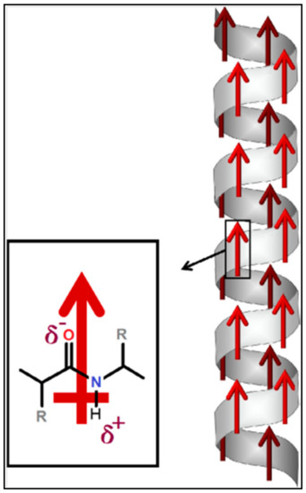 Inorganics | Free Full-Text | The Role of Inorganic Fillers in 