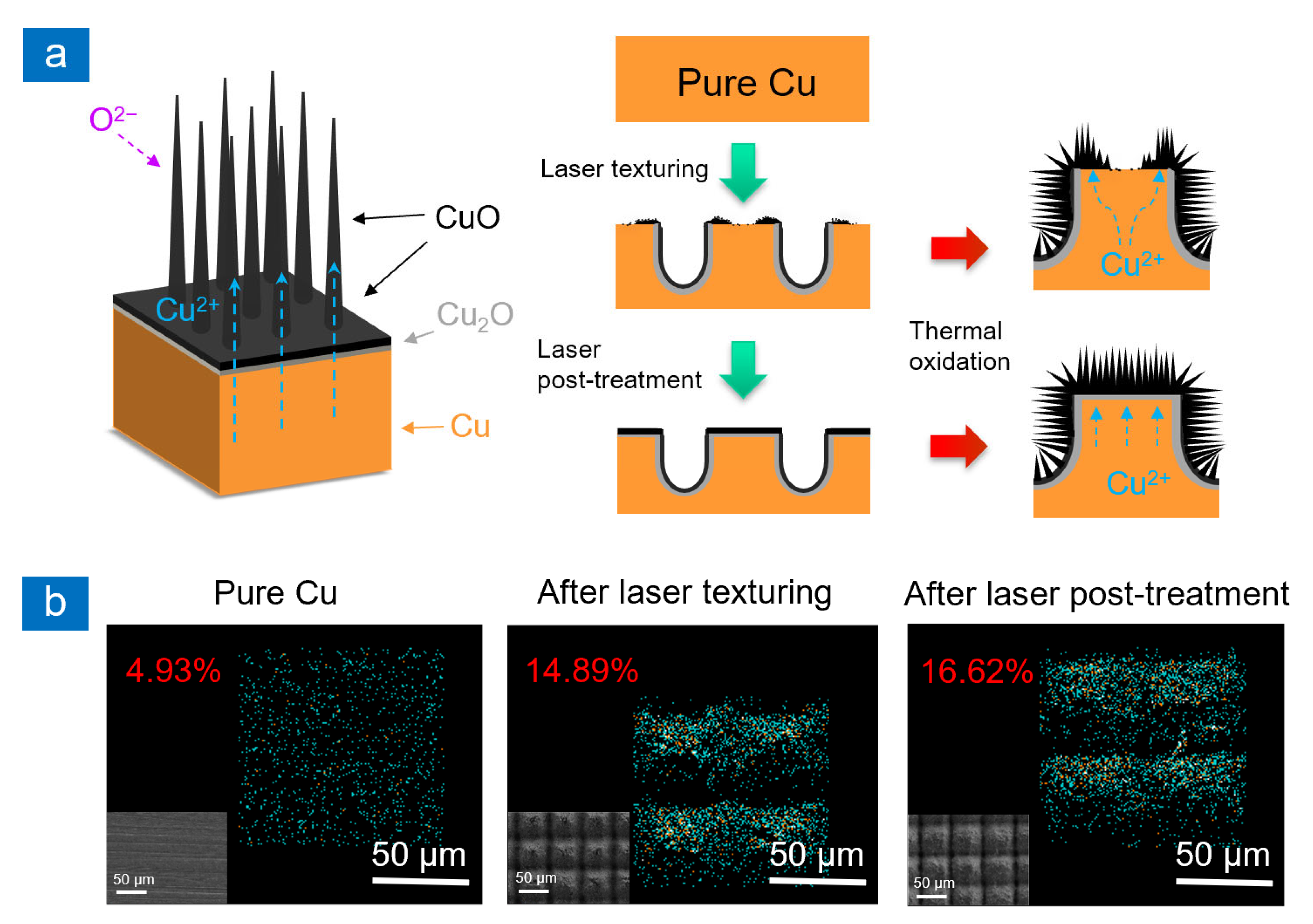 Inorganics 10 00236 g003 Inorganics 10 00236 g003