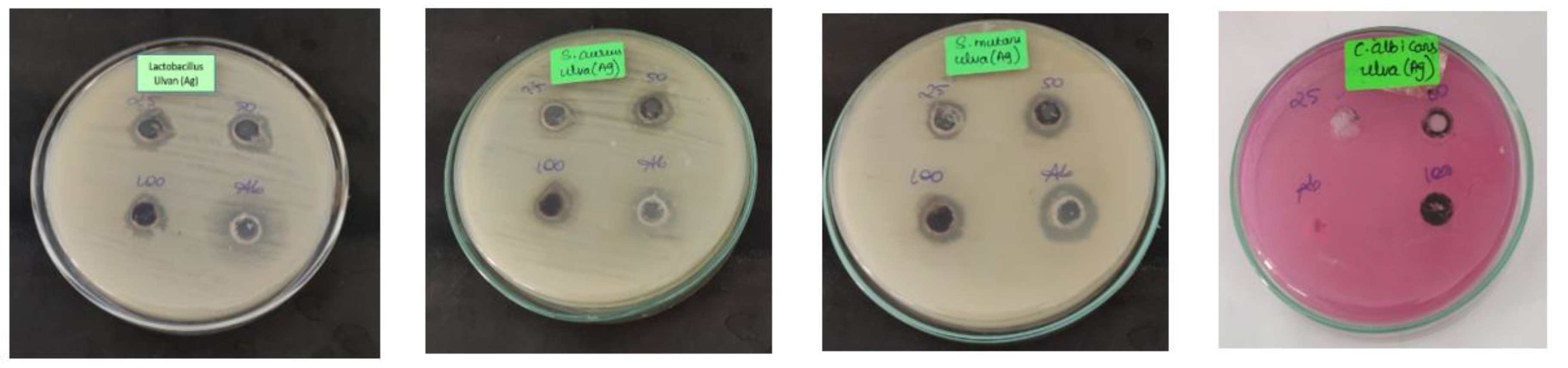 Inorganics 11 00005 g007 Inorganics 11 00005 g007