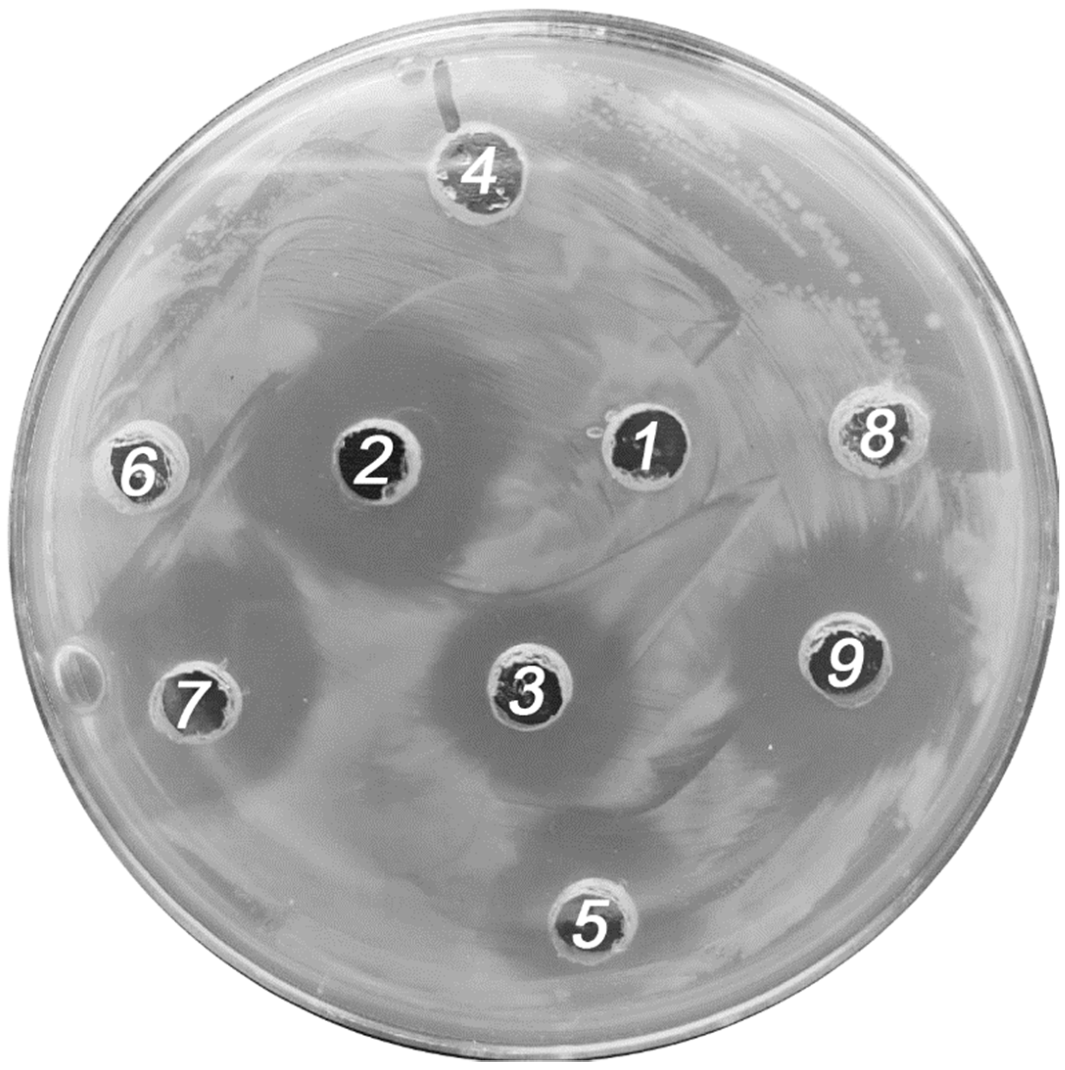 Inorganics 11 00009 g005