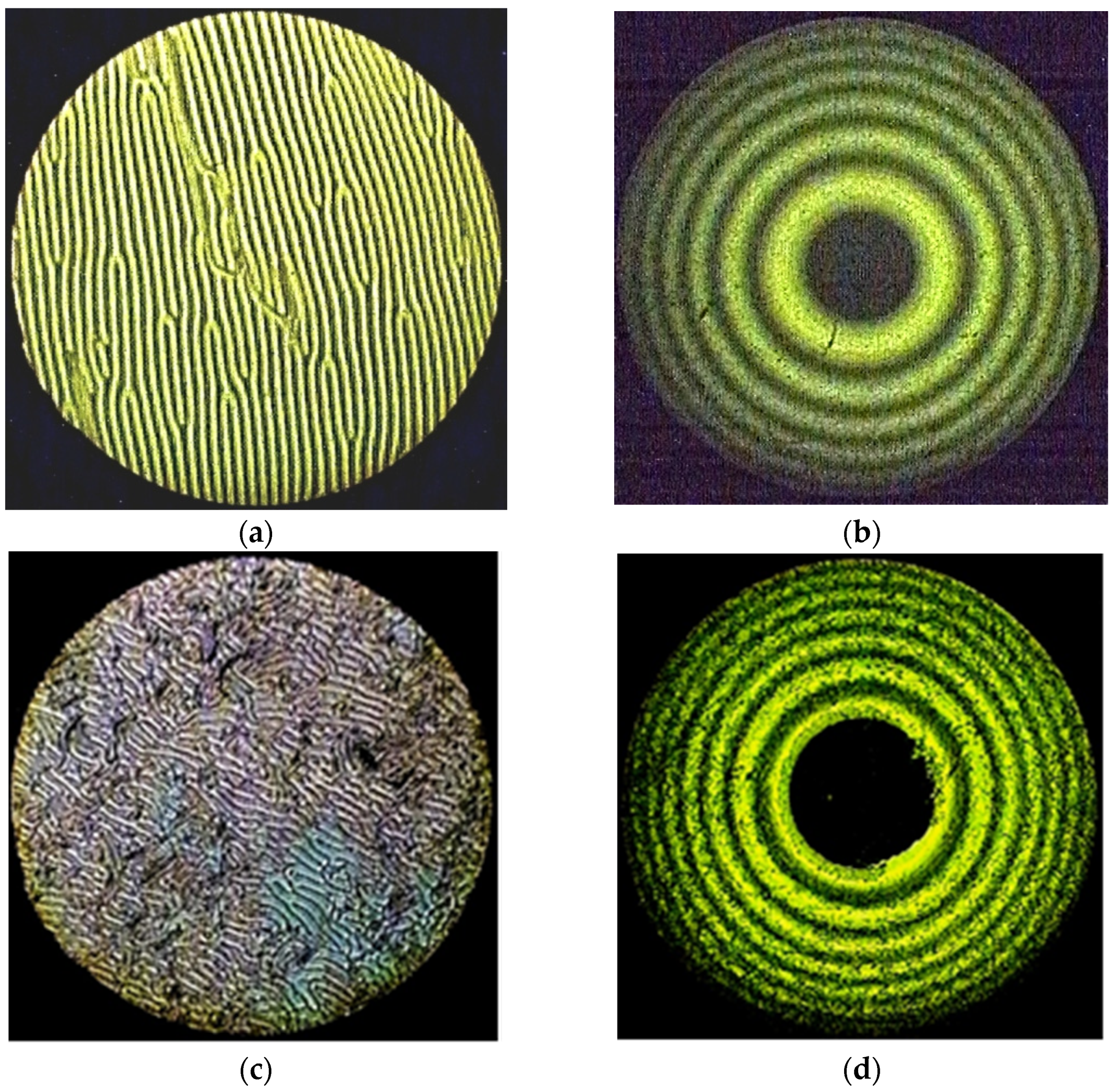 Inorganics 11 00024 g002a