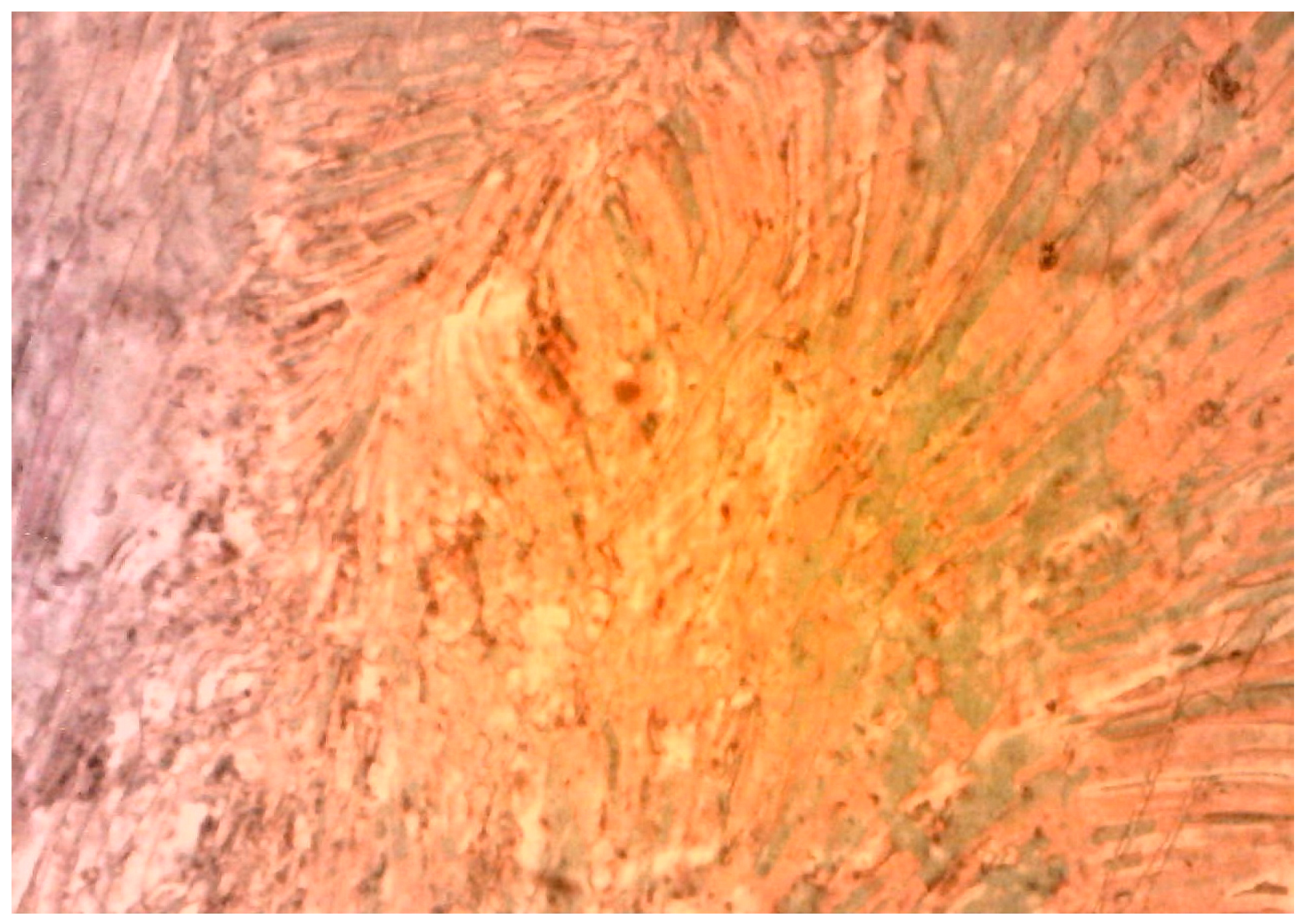 Inorganics 11 00032 g003 Inorganics 11 00032 g003