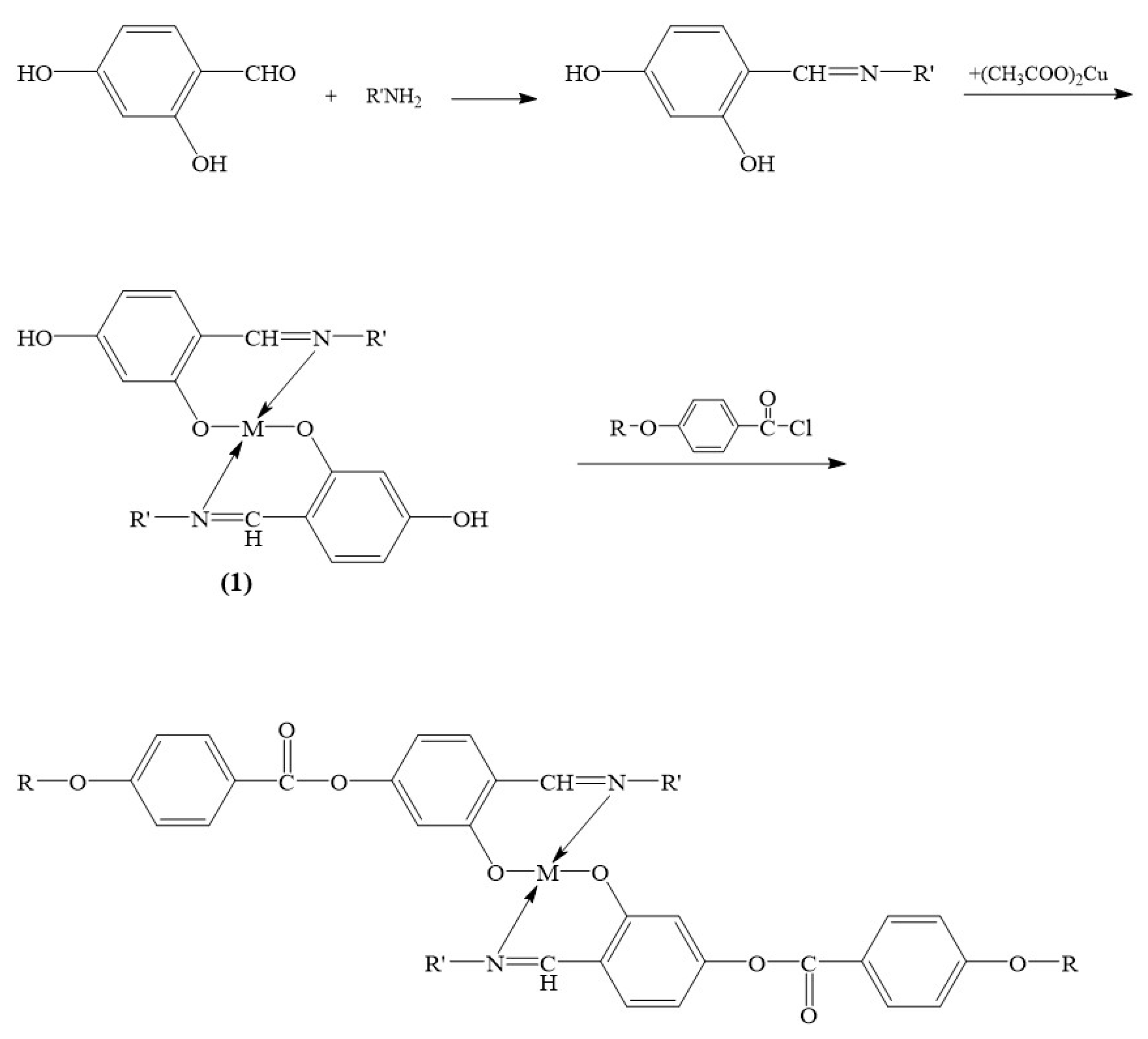 Inorganics 11 00032 sch002 Inorganics 11 00032 sch002