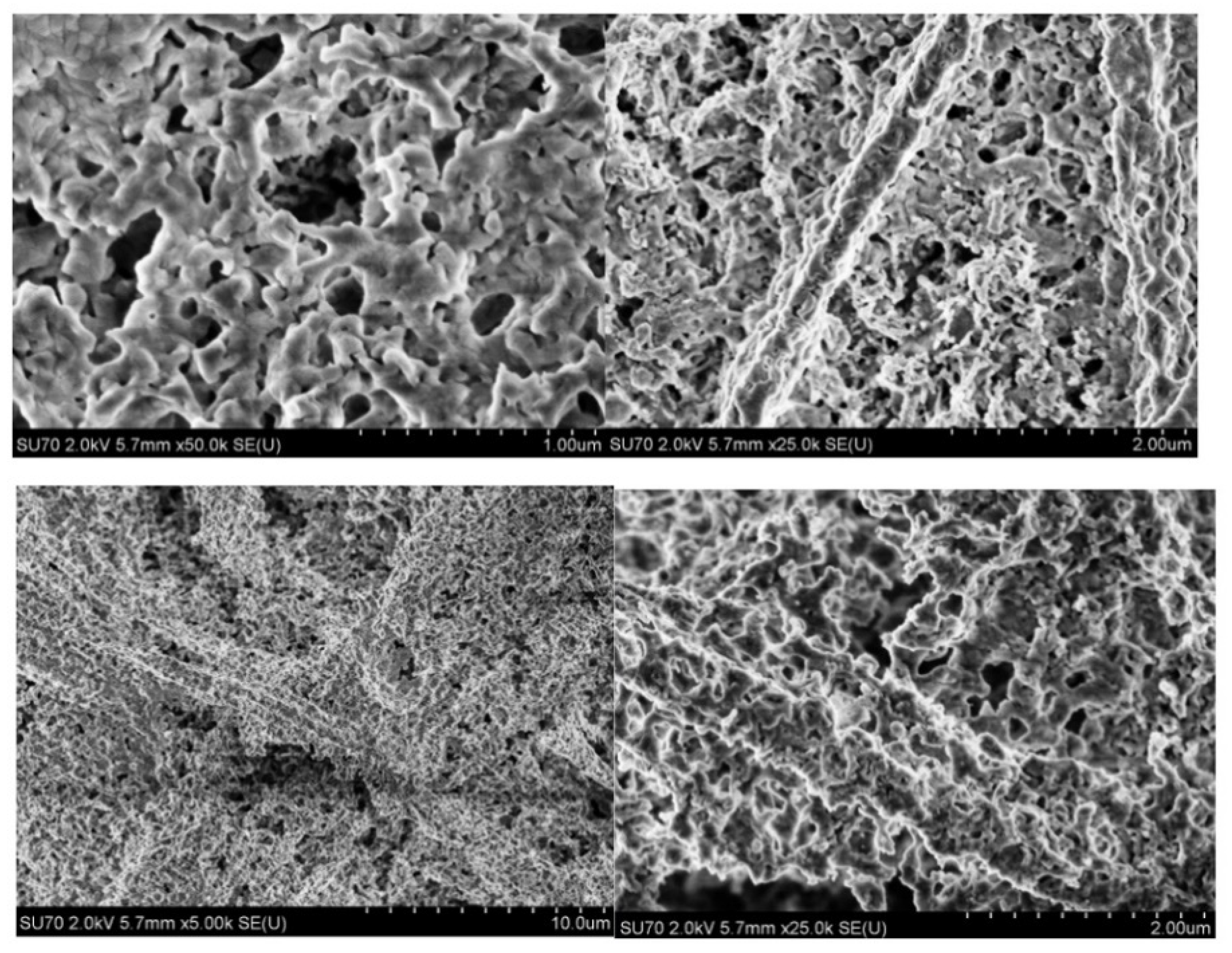 Inorganics 11 00033 g005 Inorganics 11 00033 g005