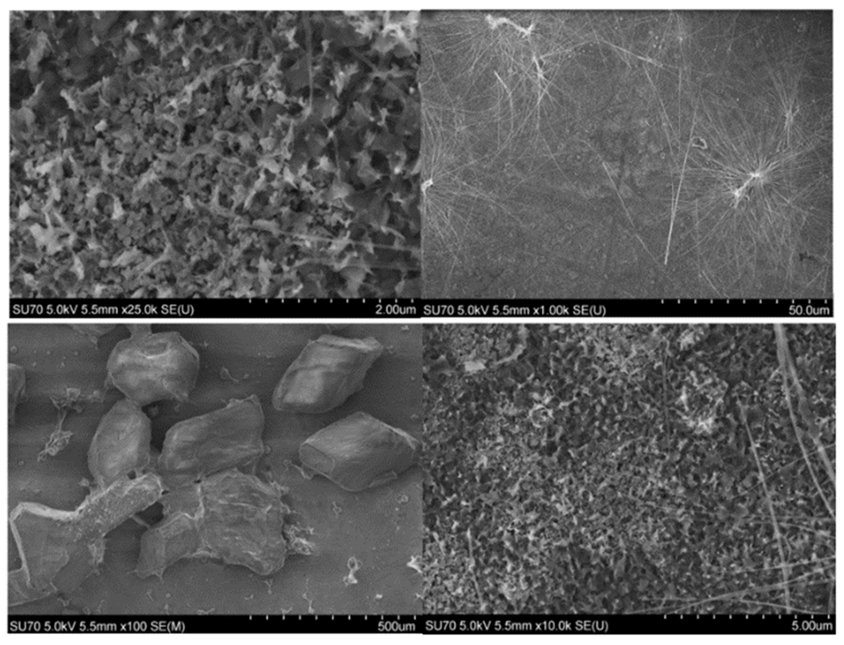 Inorganics 11 00033 g006 Inorganics 11 00033 g006