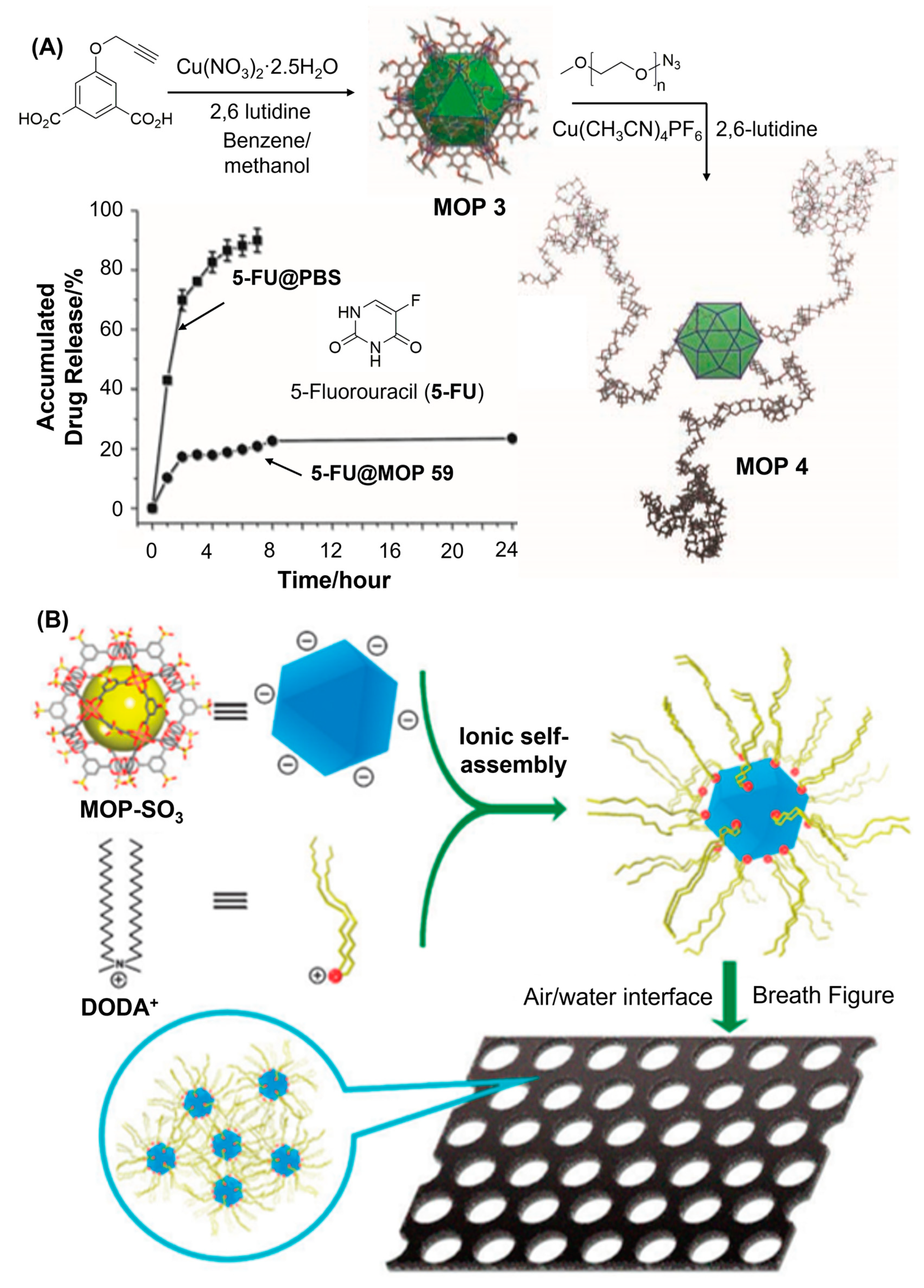 Inorganics 11 00036 g006
