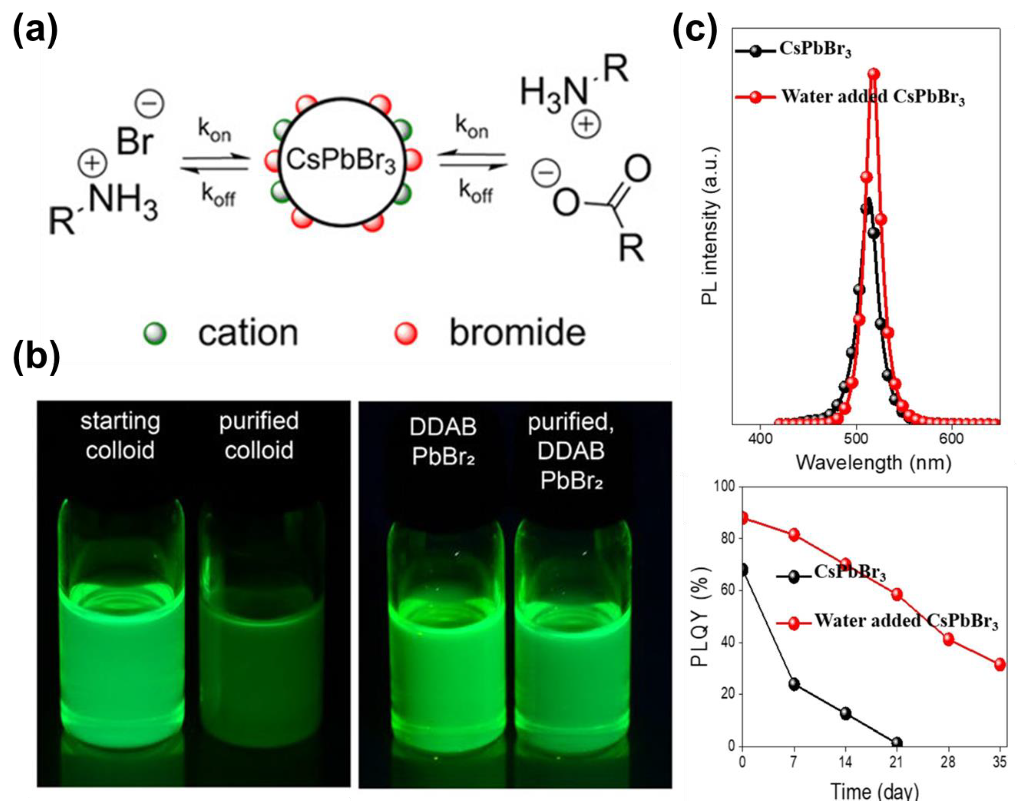Inorganics | Free Full-Text | Synthesis and Applications of Halide ...