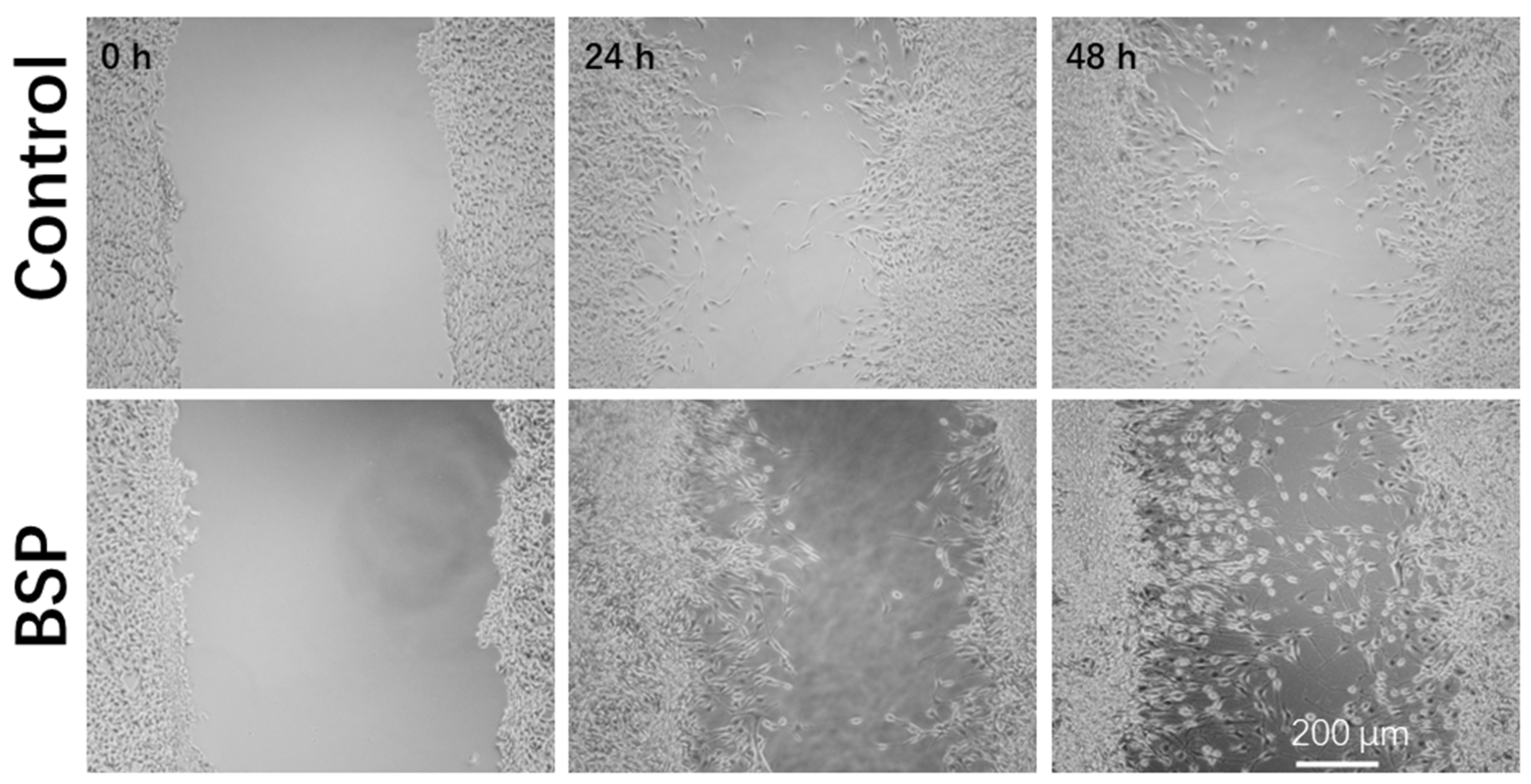 Inorganics 11 00040 g005 Inorganics 11 00040 g005