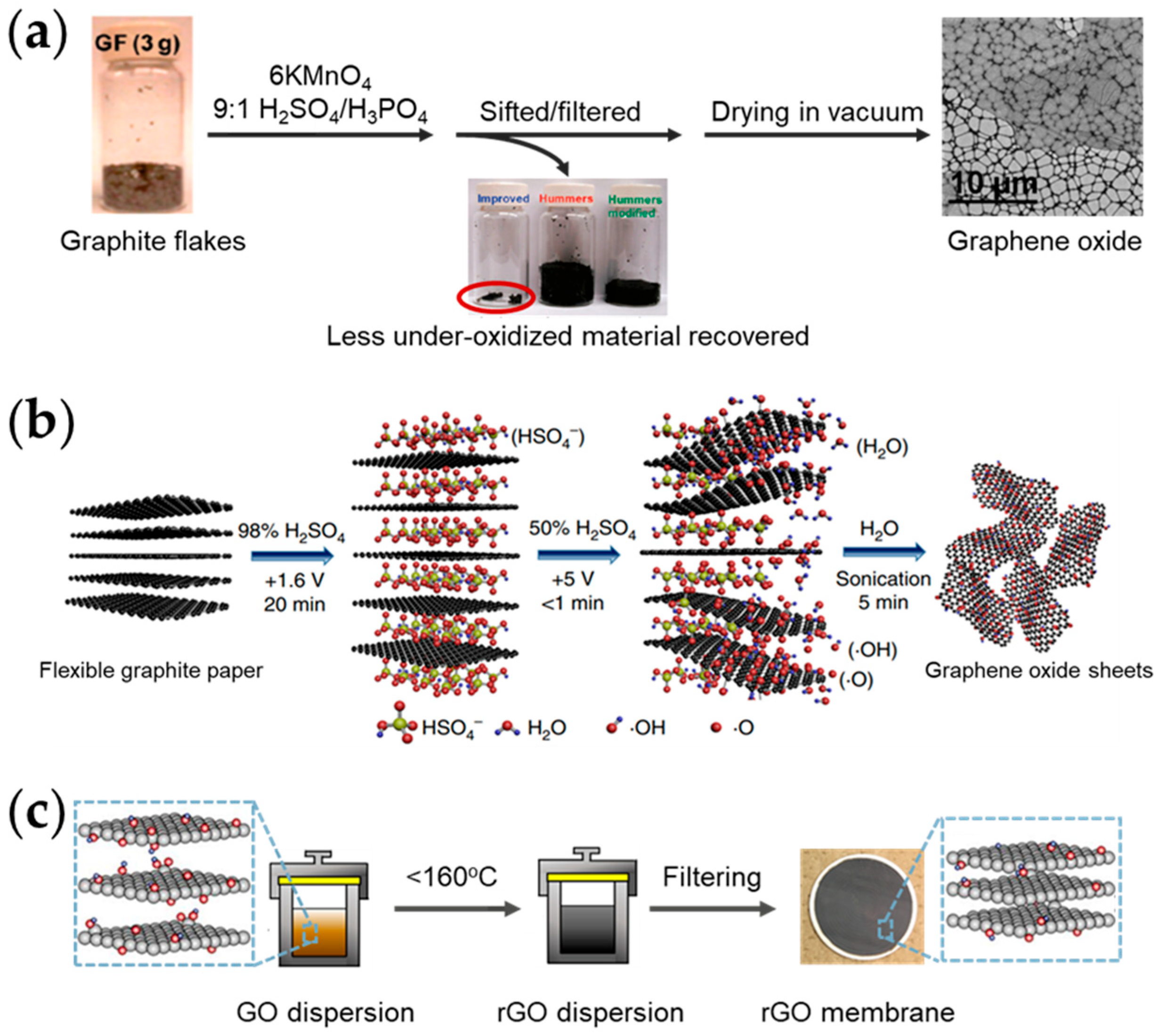 Inorganics 11 00081 g002