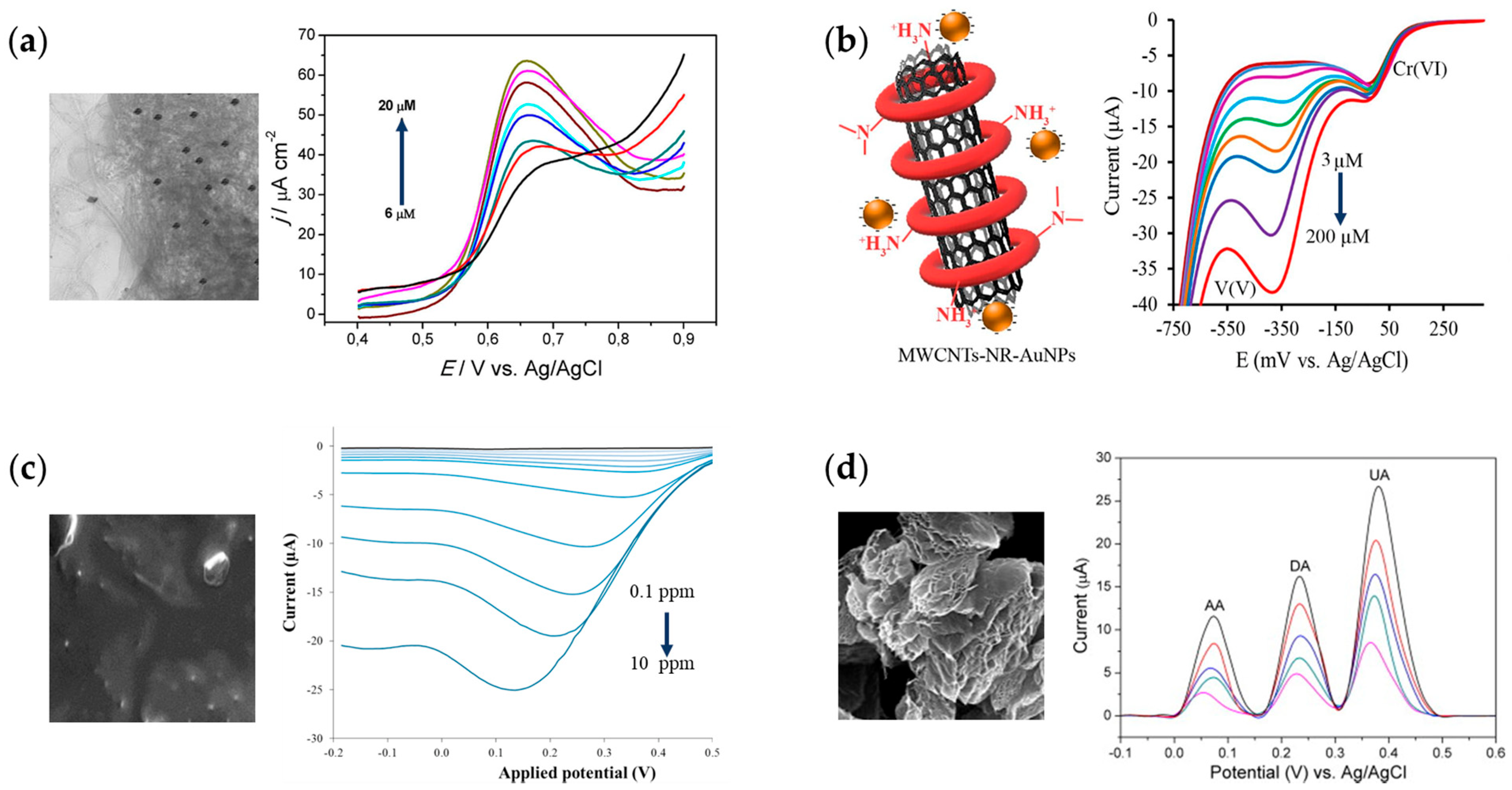 Inorganics 11 00081 g010