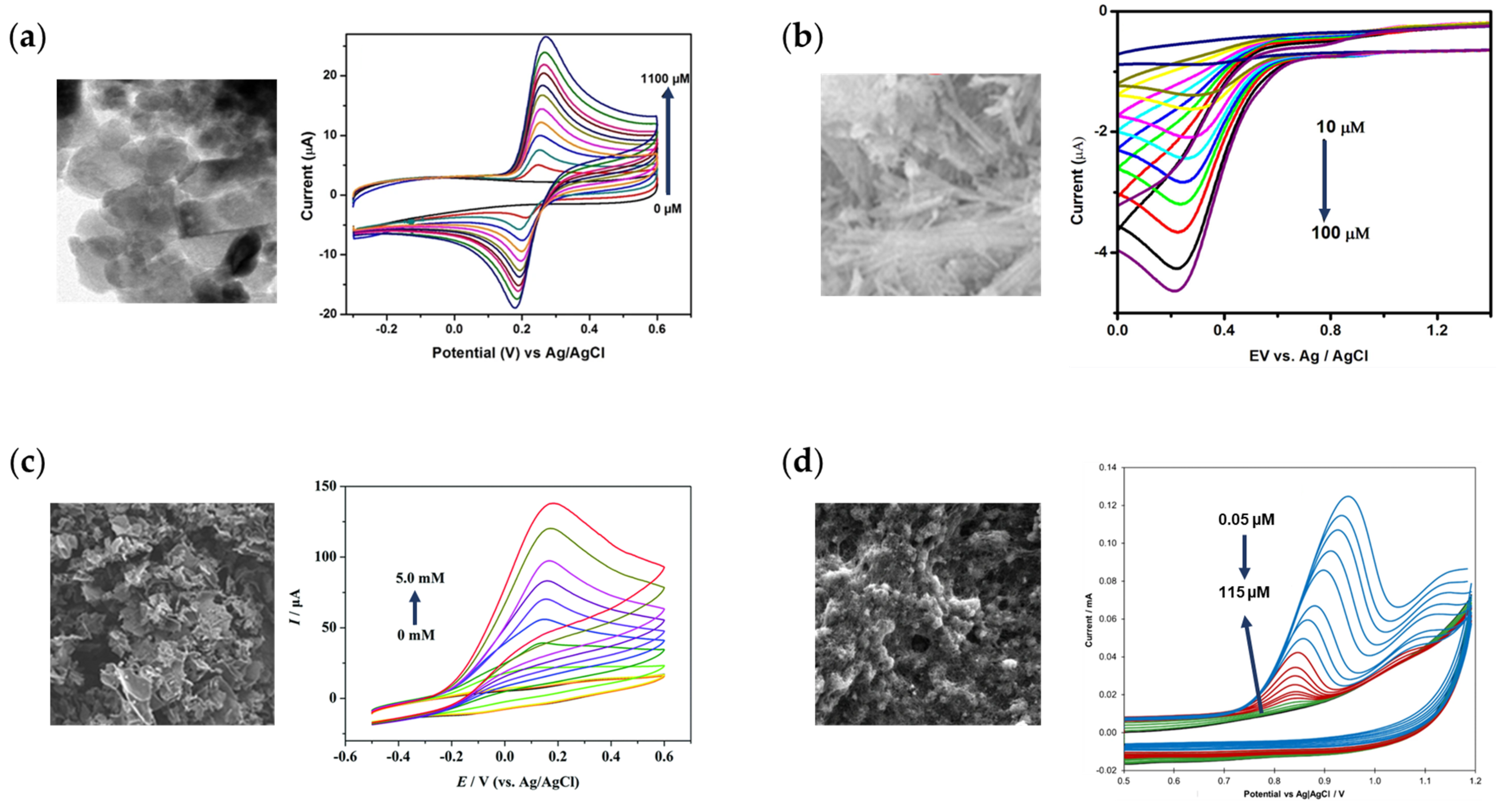 Inorganics 11 00081 g011